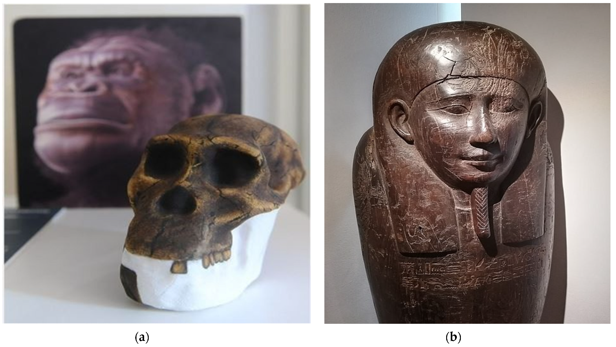 Environsciproc 10 00012 g001 550