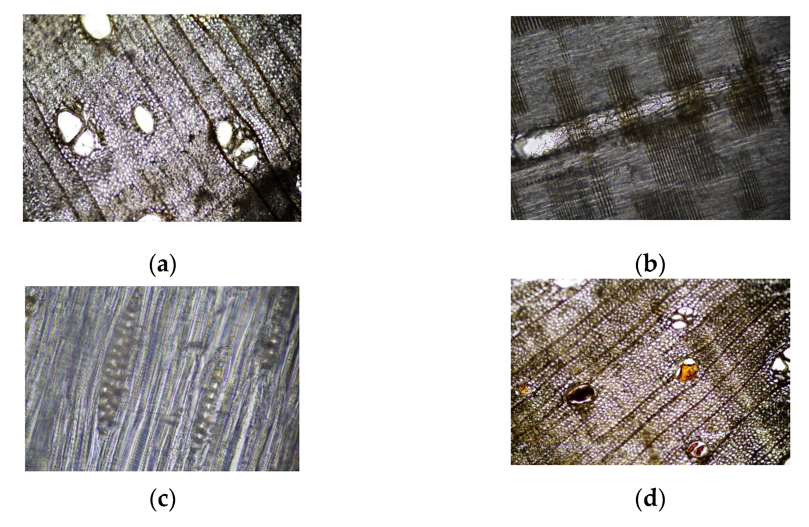 Environsciproc 13 00009 g001