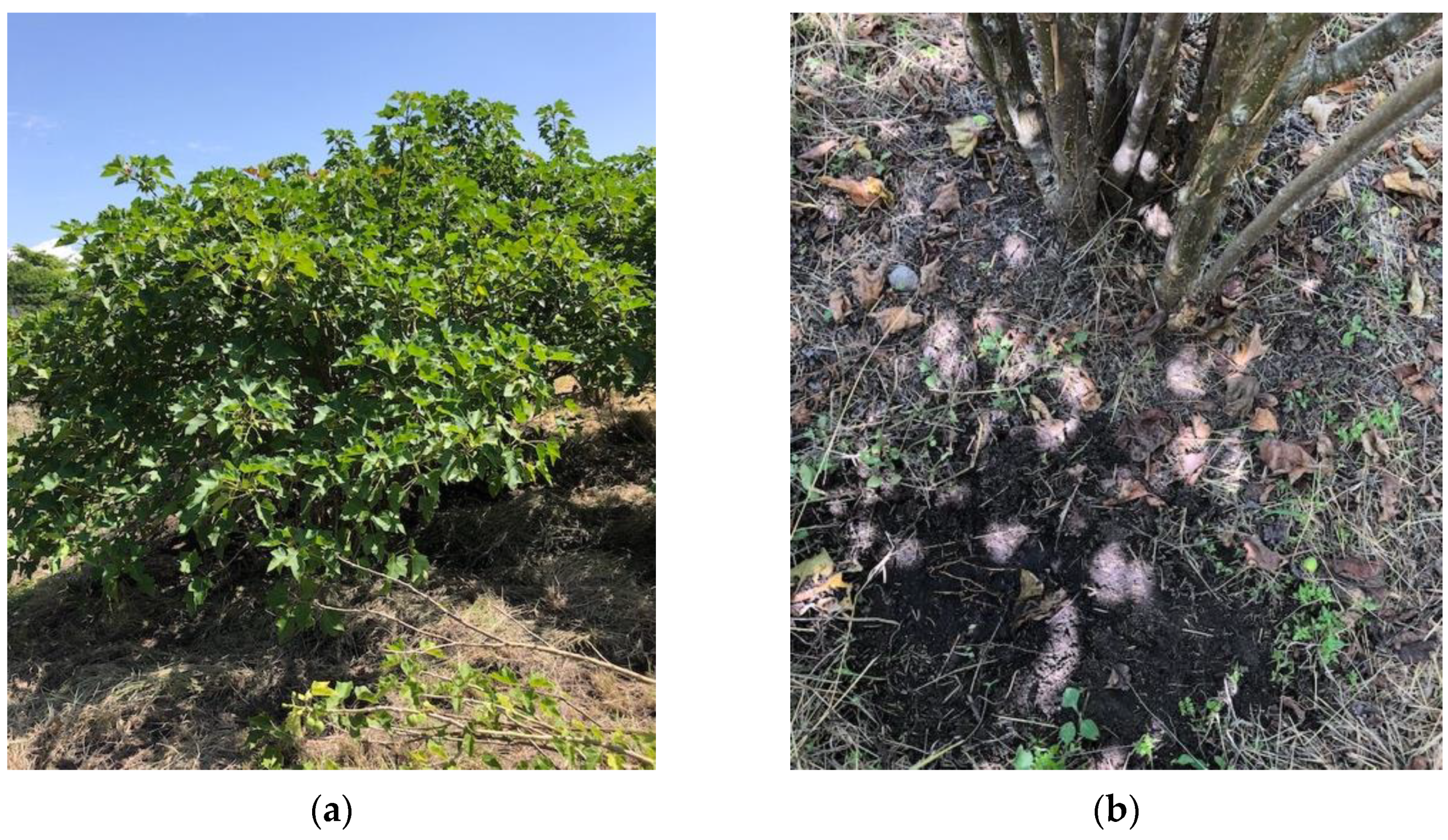 Environsciproc 15 00010 g003 550