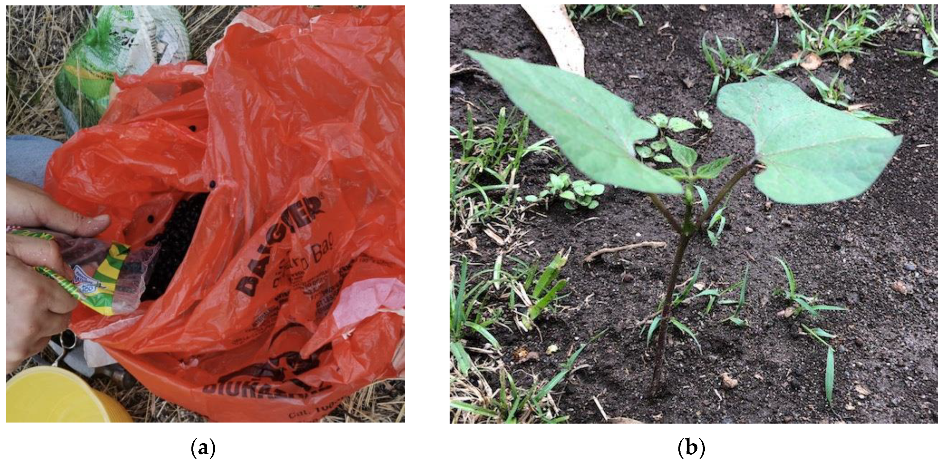 Environsciproc 15 00010 g004 550