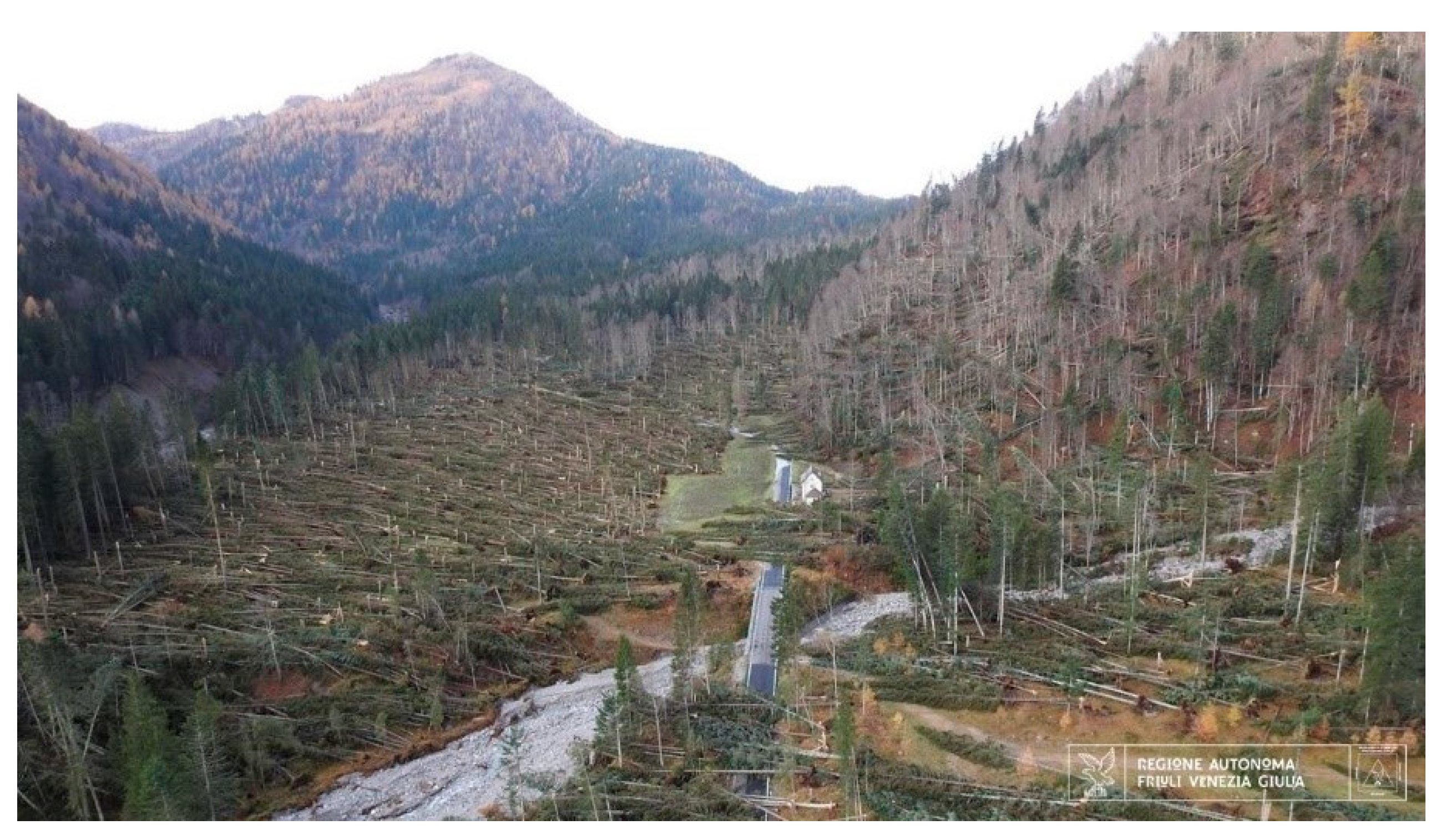 Environsciproc 15 00048 g001 550