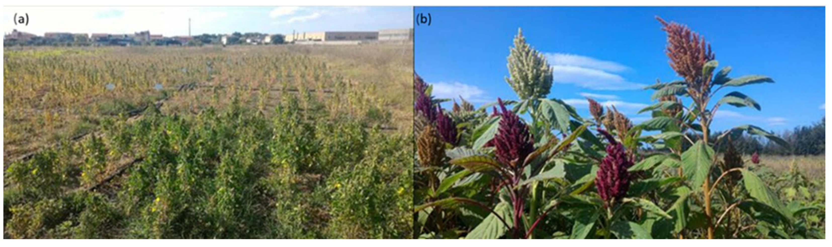 Environsciproc 16 00008 g001