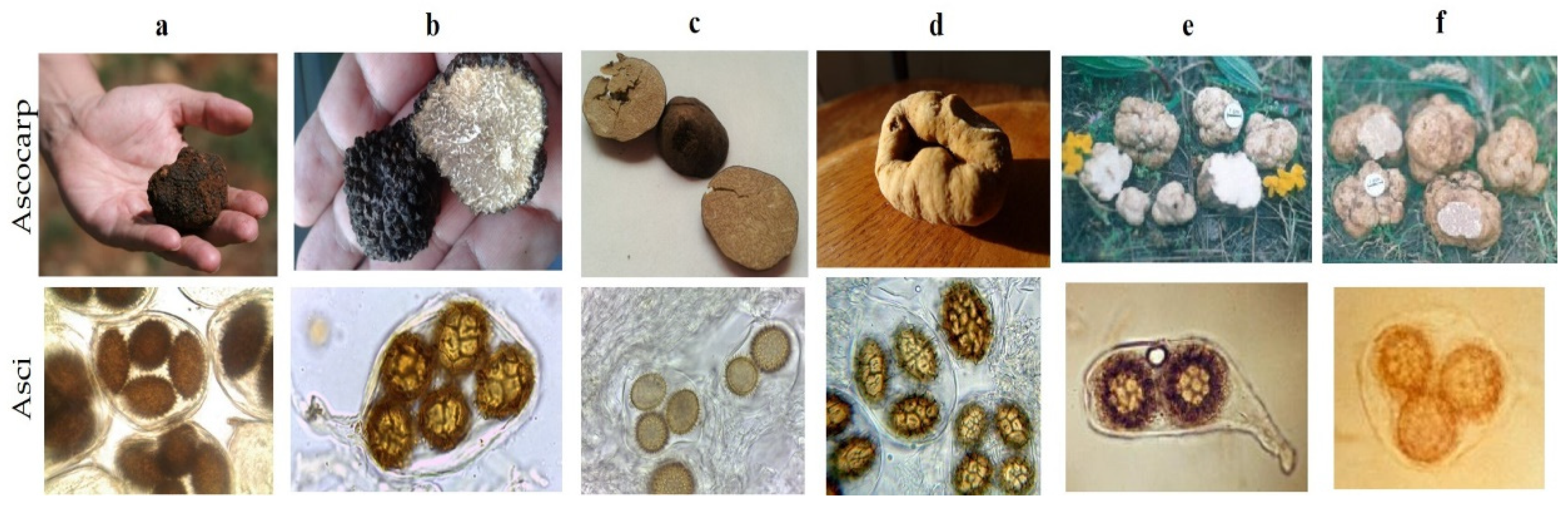 Environsciproc 16 00035 g004 Environsciproc 16 00035 g004
