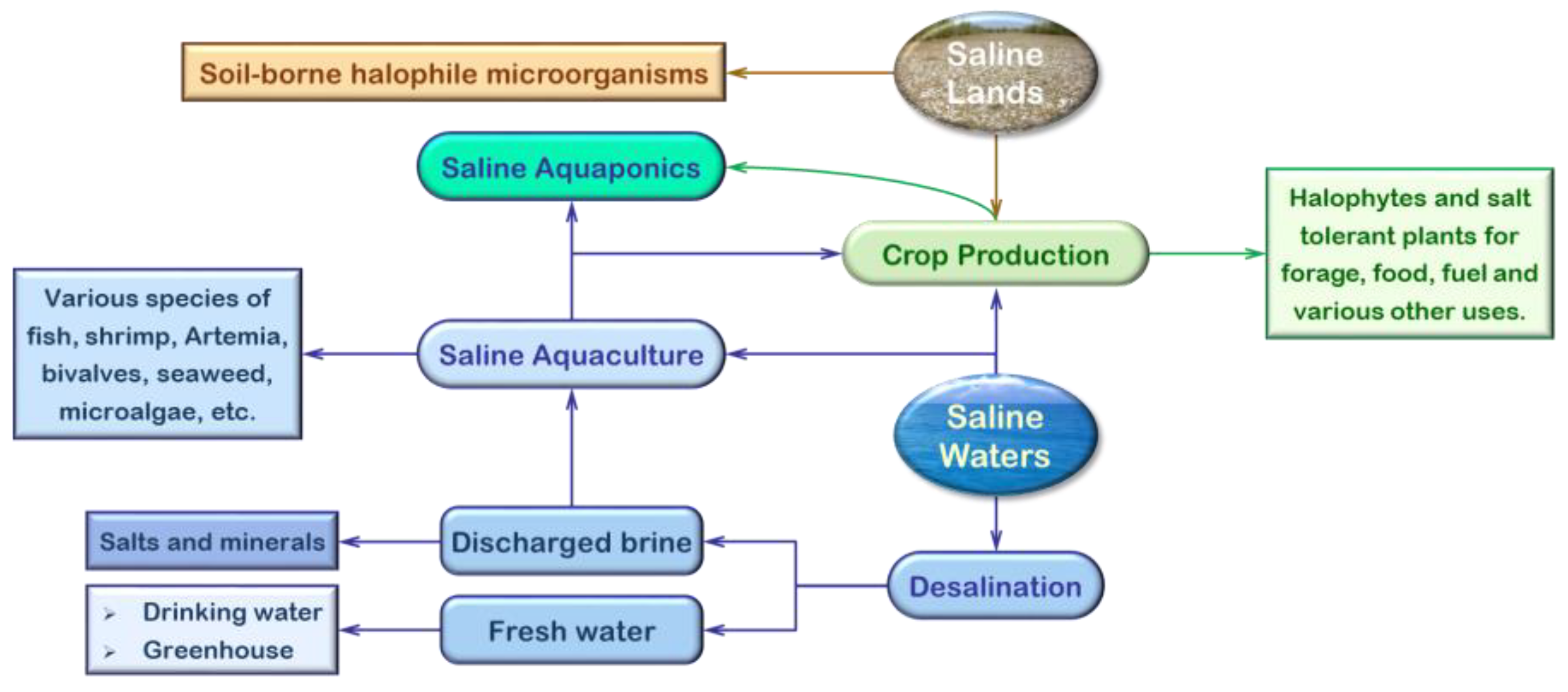 Environsciproc 16 00063 g001 550