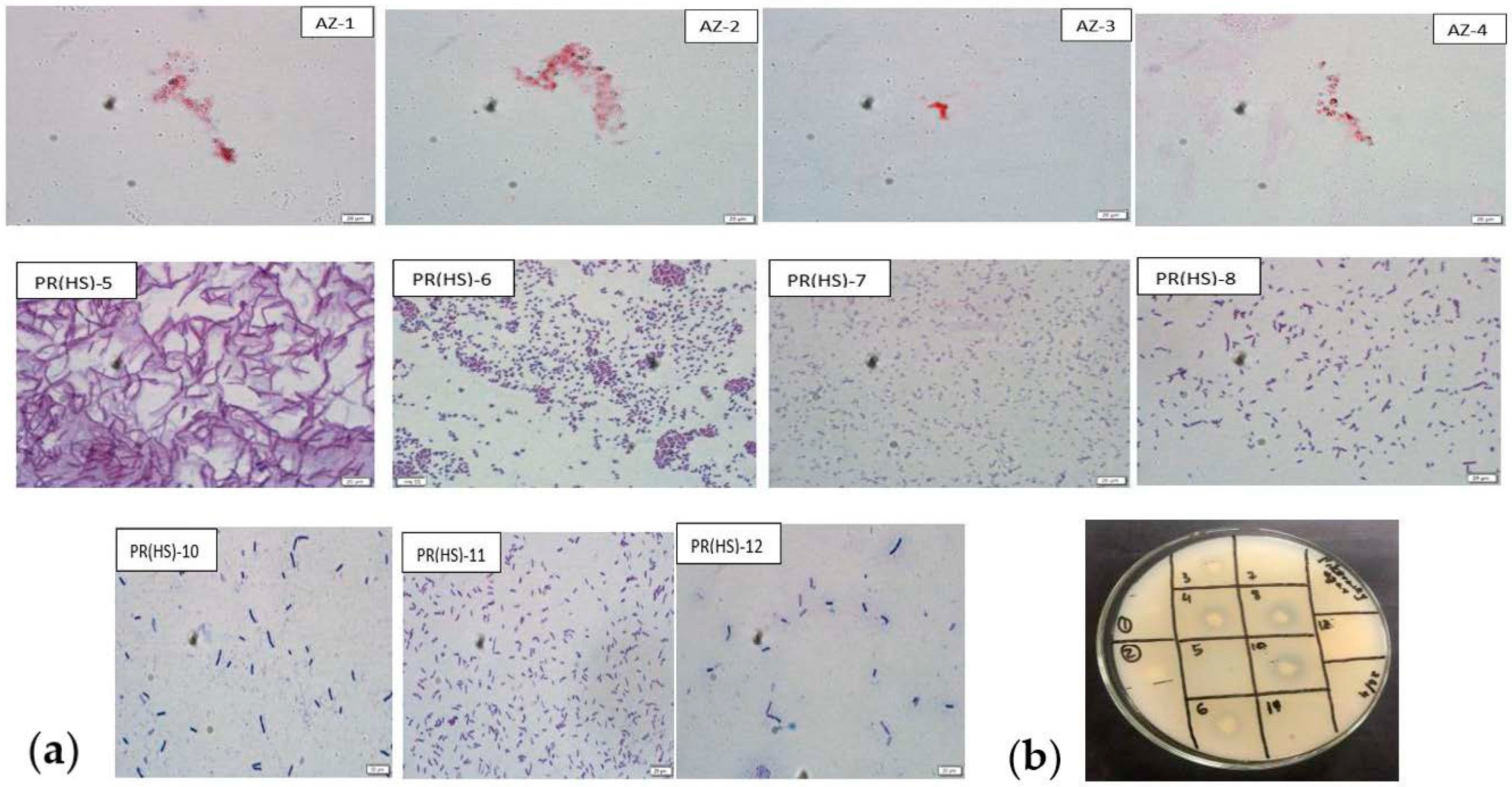 Environsciproc 16 00069 g002