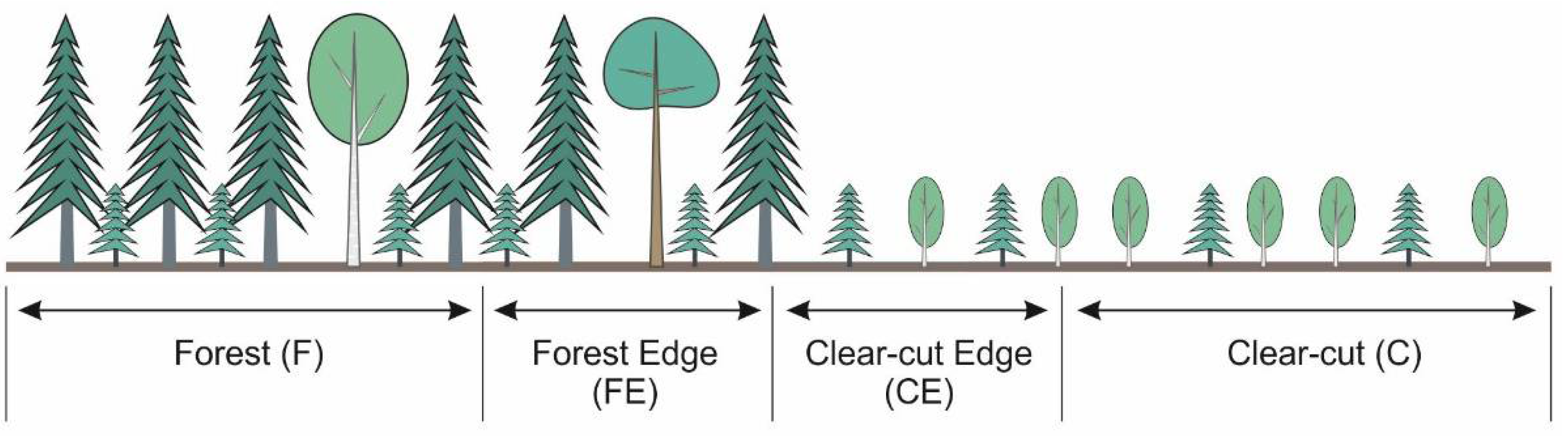 Decade-Long Dynamics of the Ground Vegetation in an Ecotone between ...