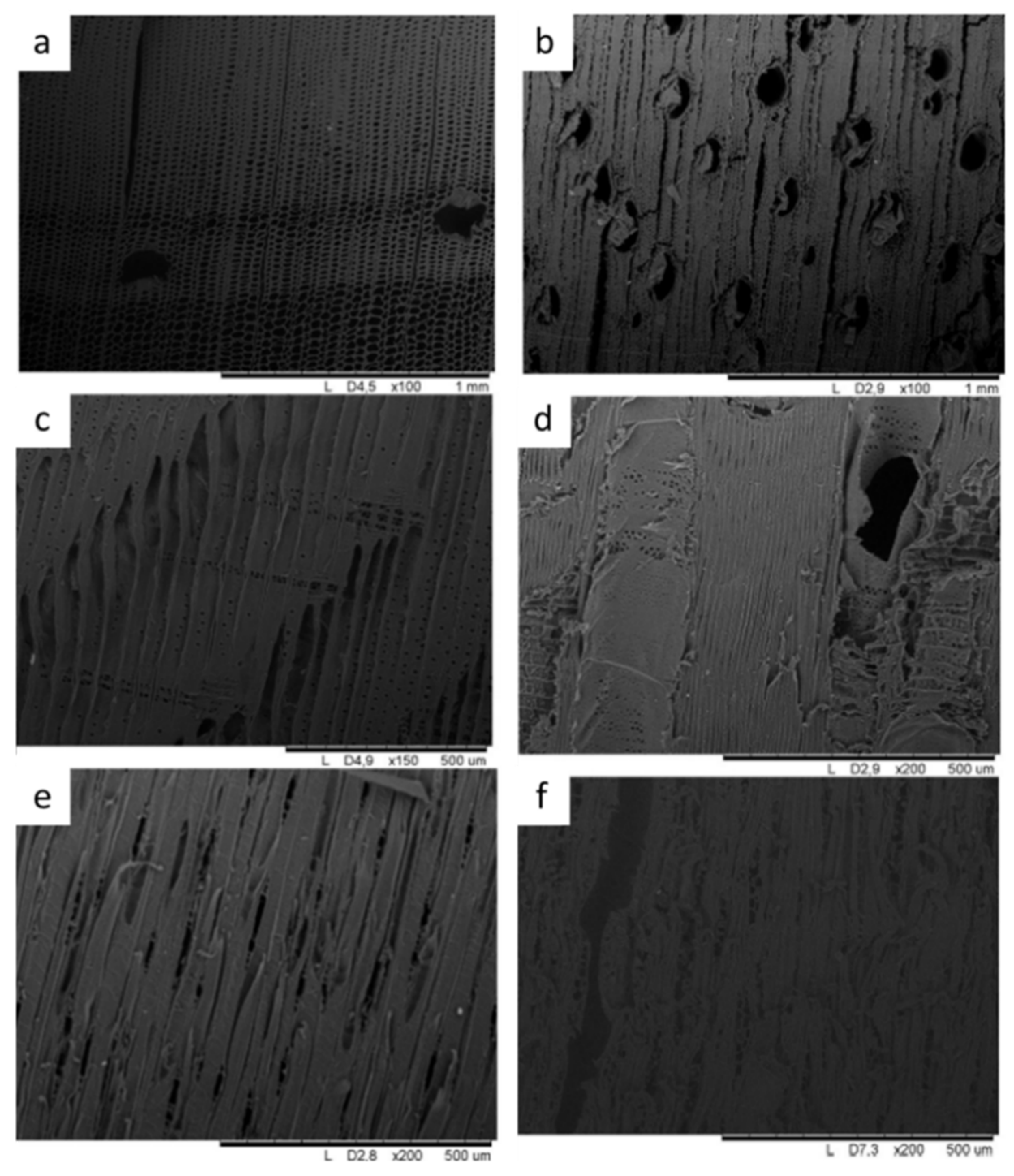 Environsciproc 22 00024 g001