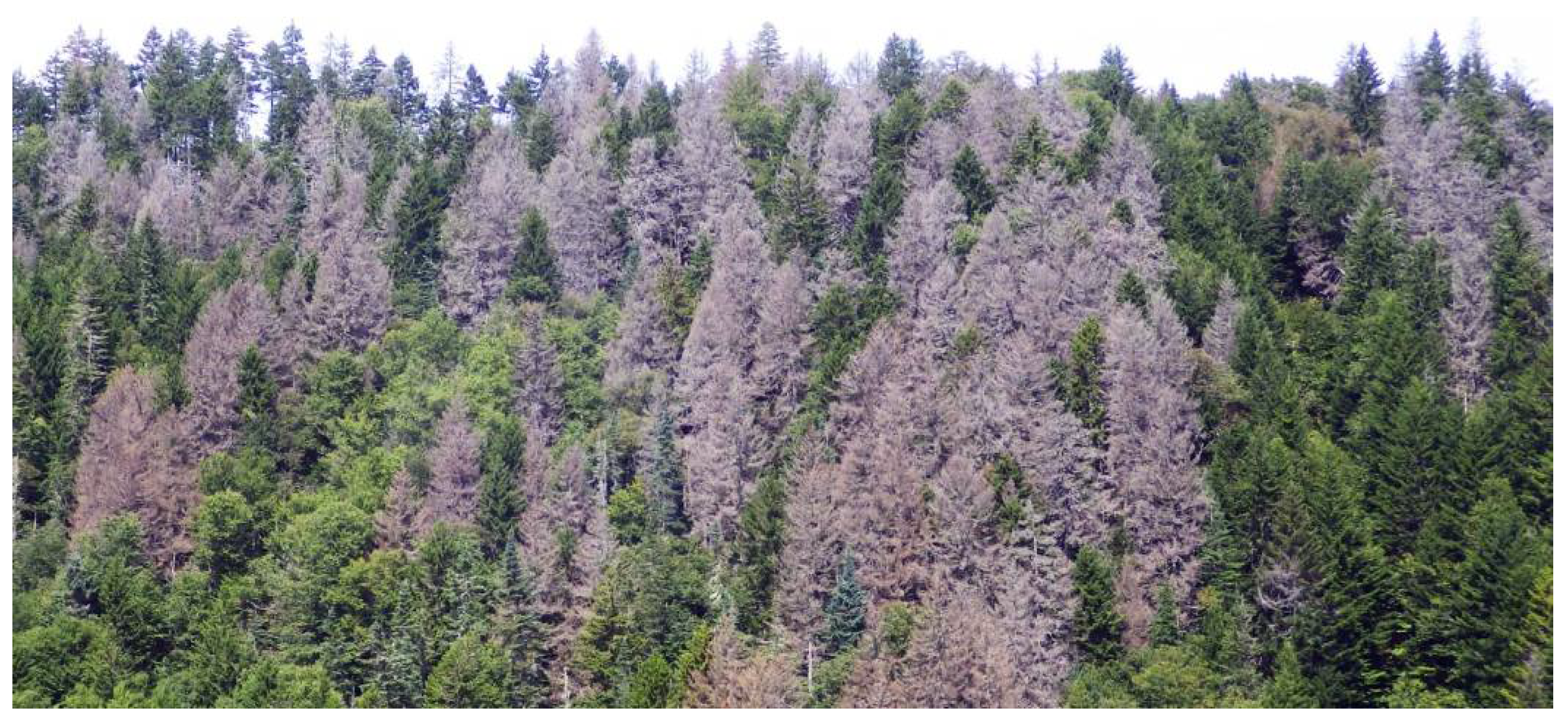 Environsciproc 22 00044 g001