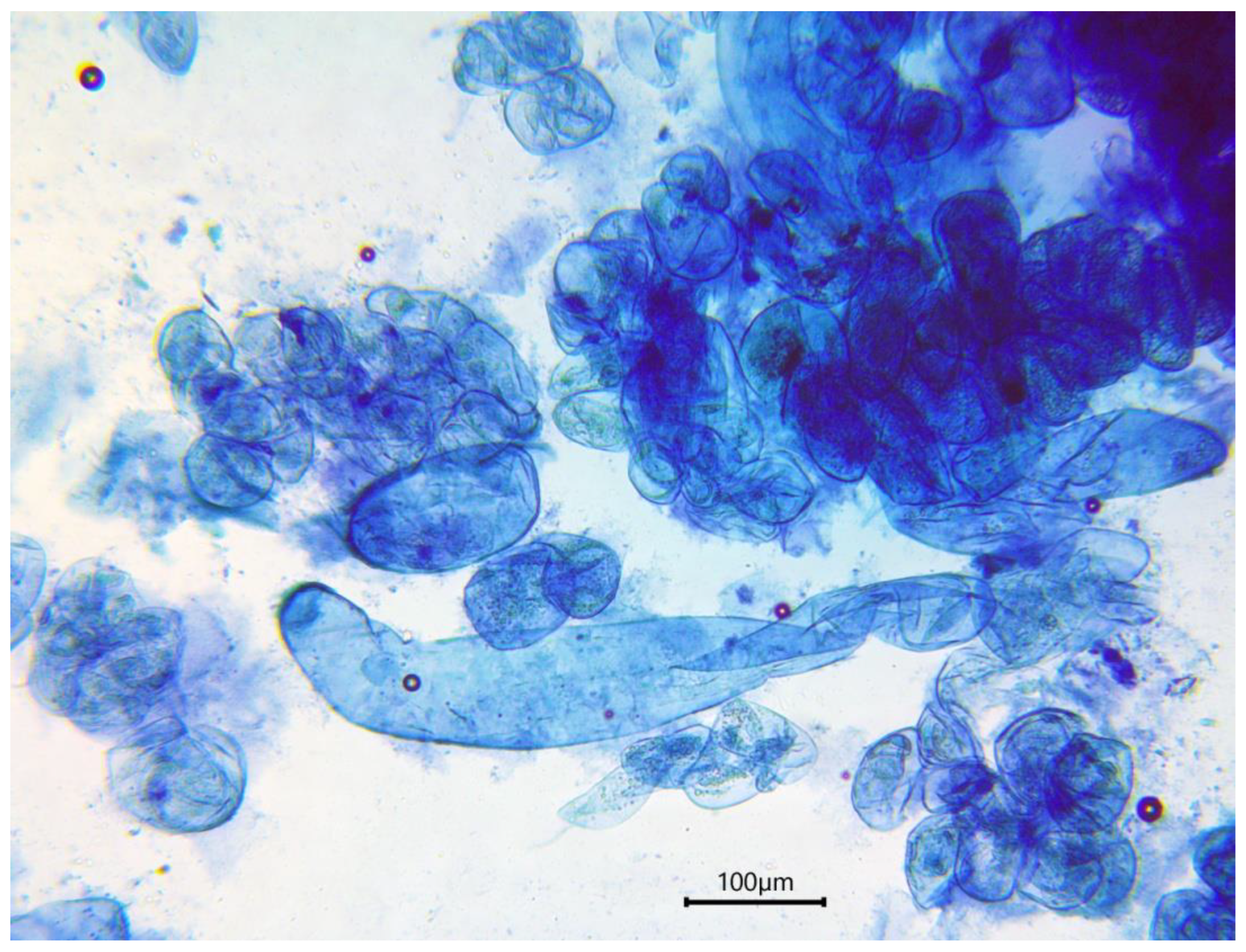 Environsciproc 22 00048 g001