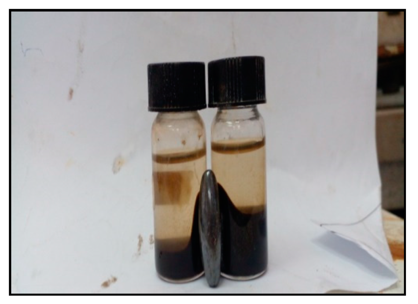 Environsciproc 25 00099 g003