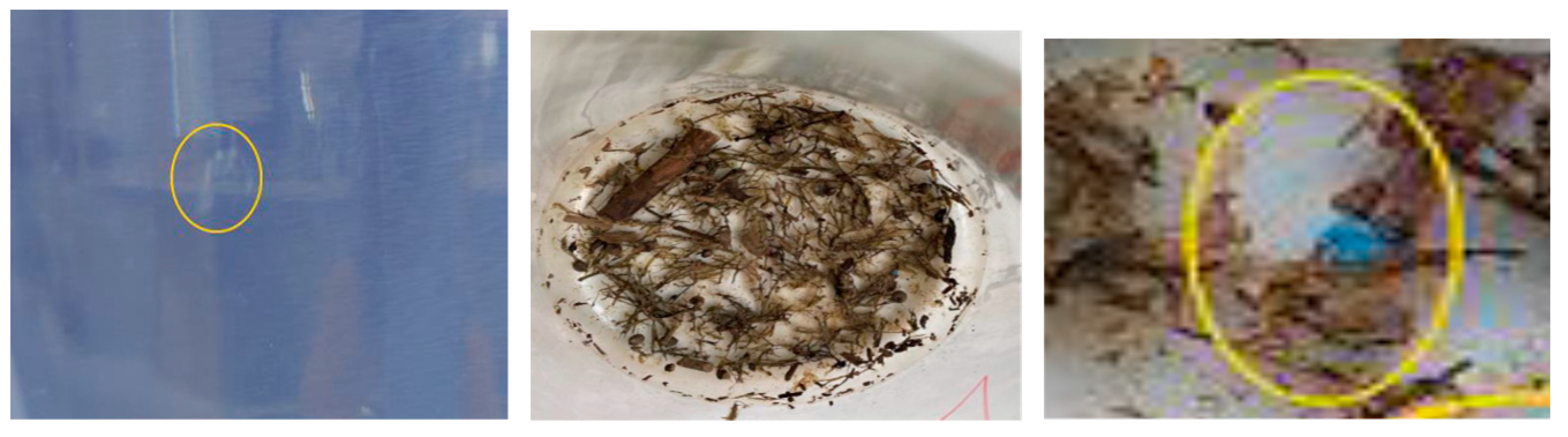 Environsciproc 26 00112 g004