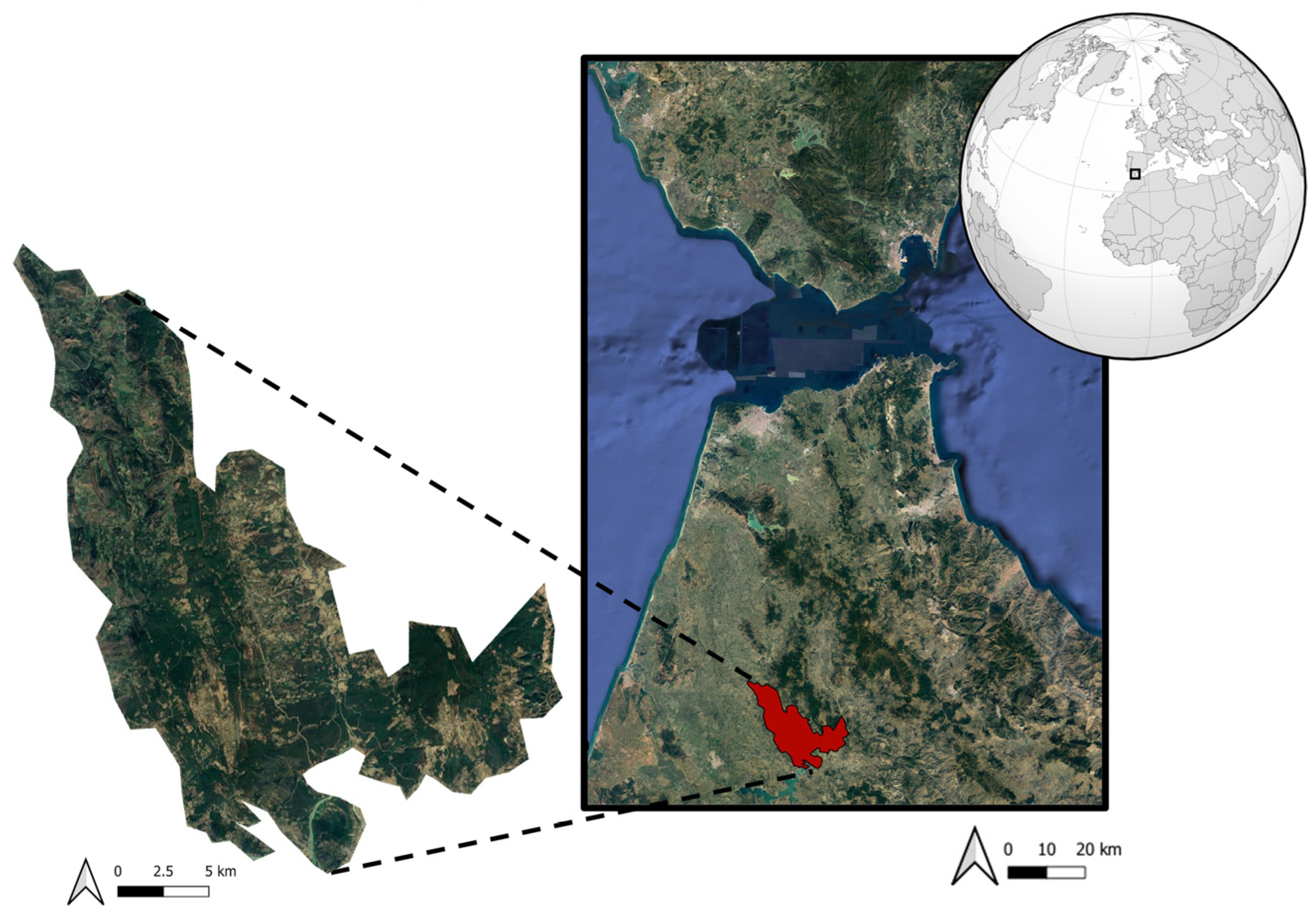 Environsciproc 29 00003 g001