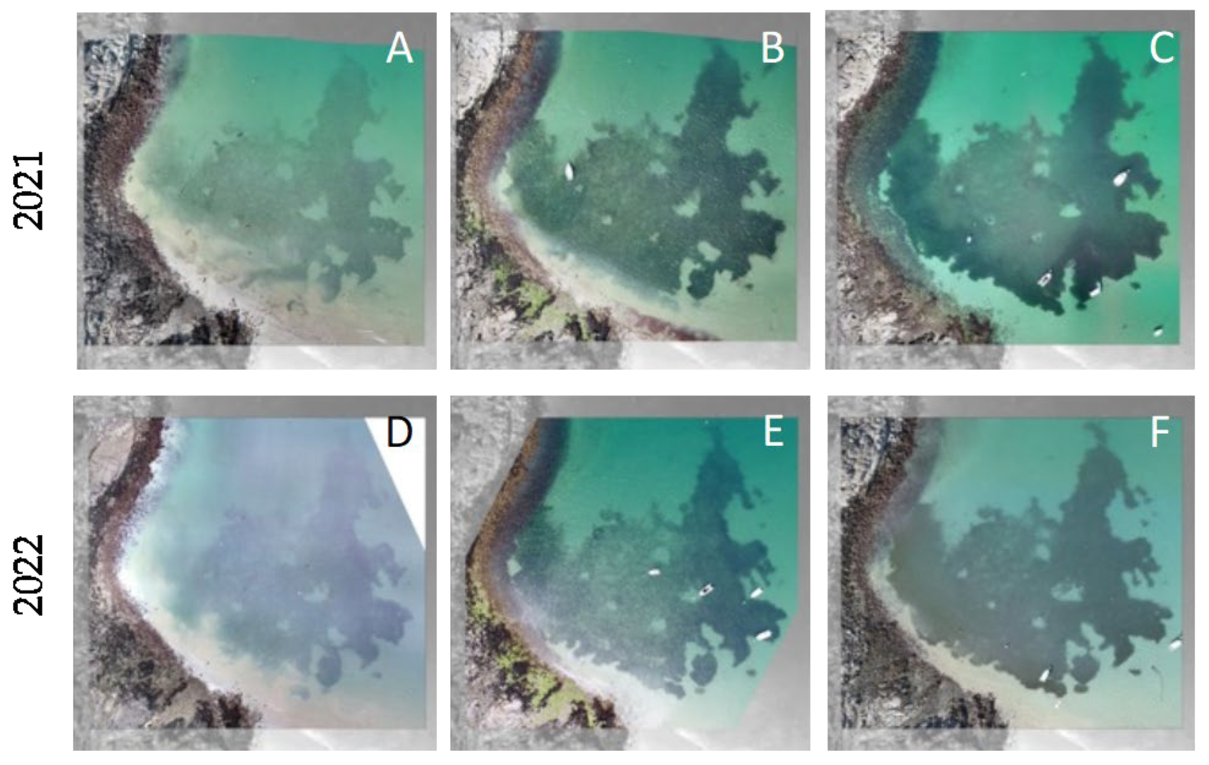 Environsciproc 29 00041 g003