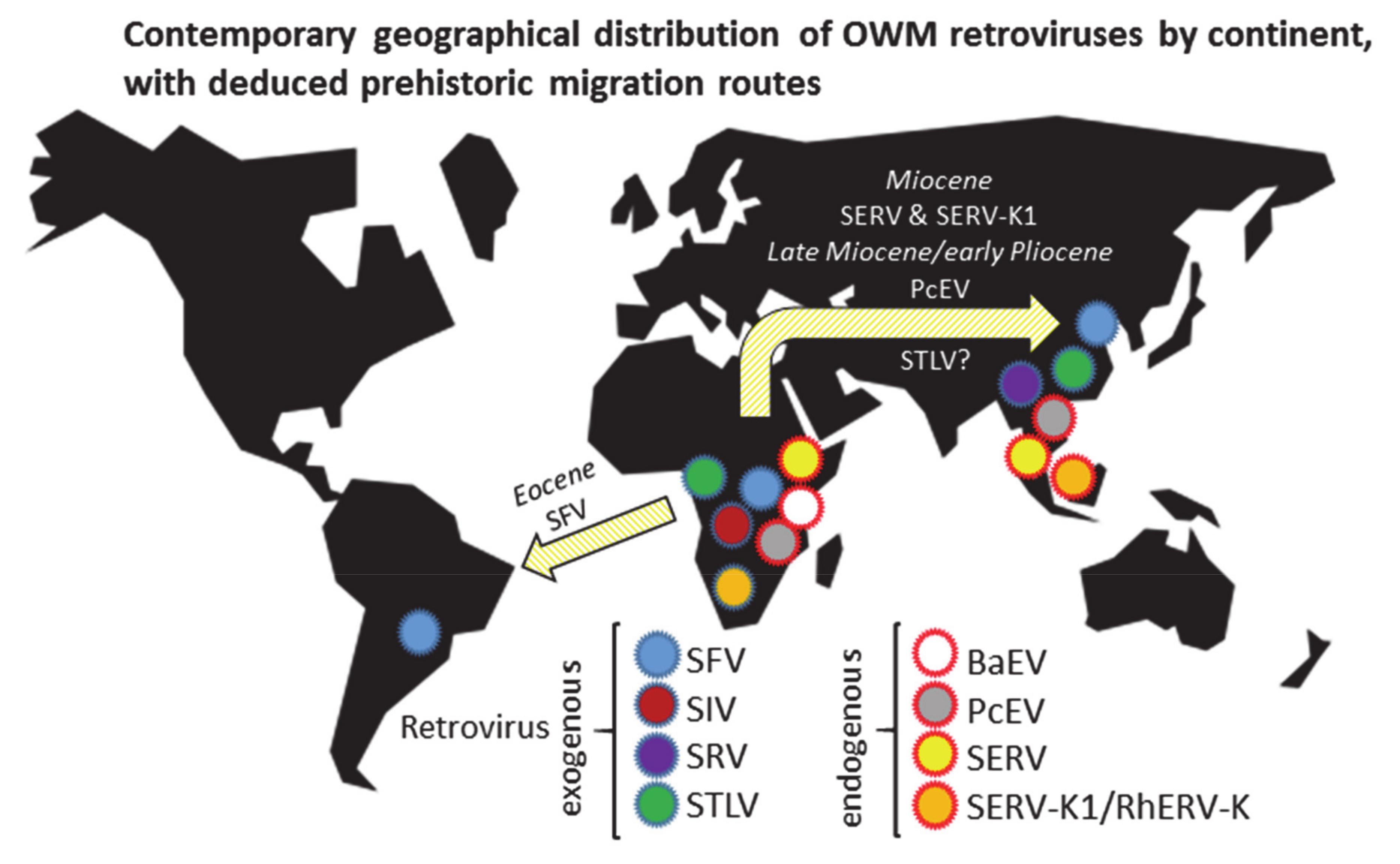 Epidemiologia 02 00005 g001
