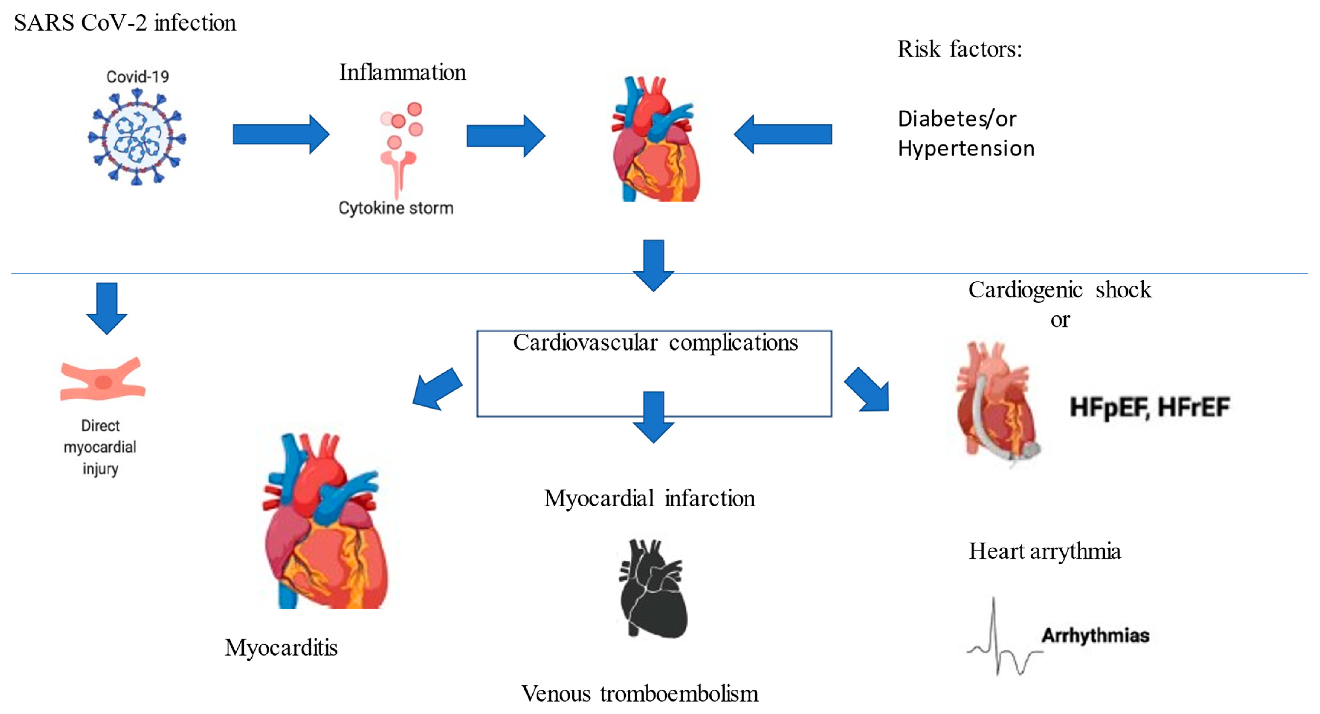 Epidemiologia 02 00011 g002