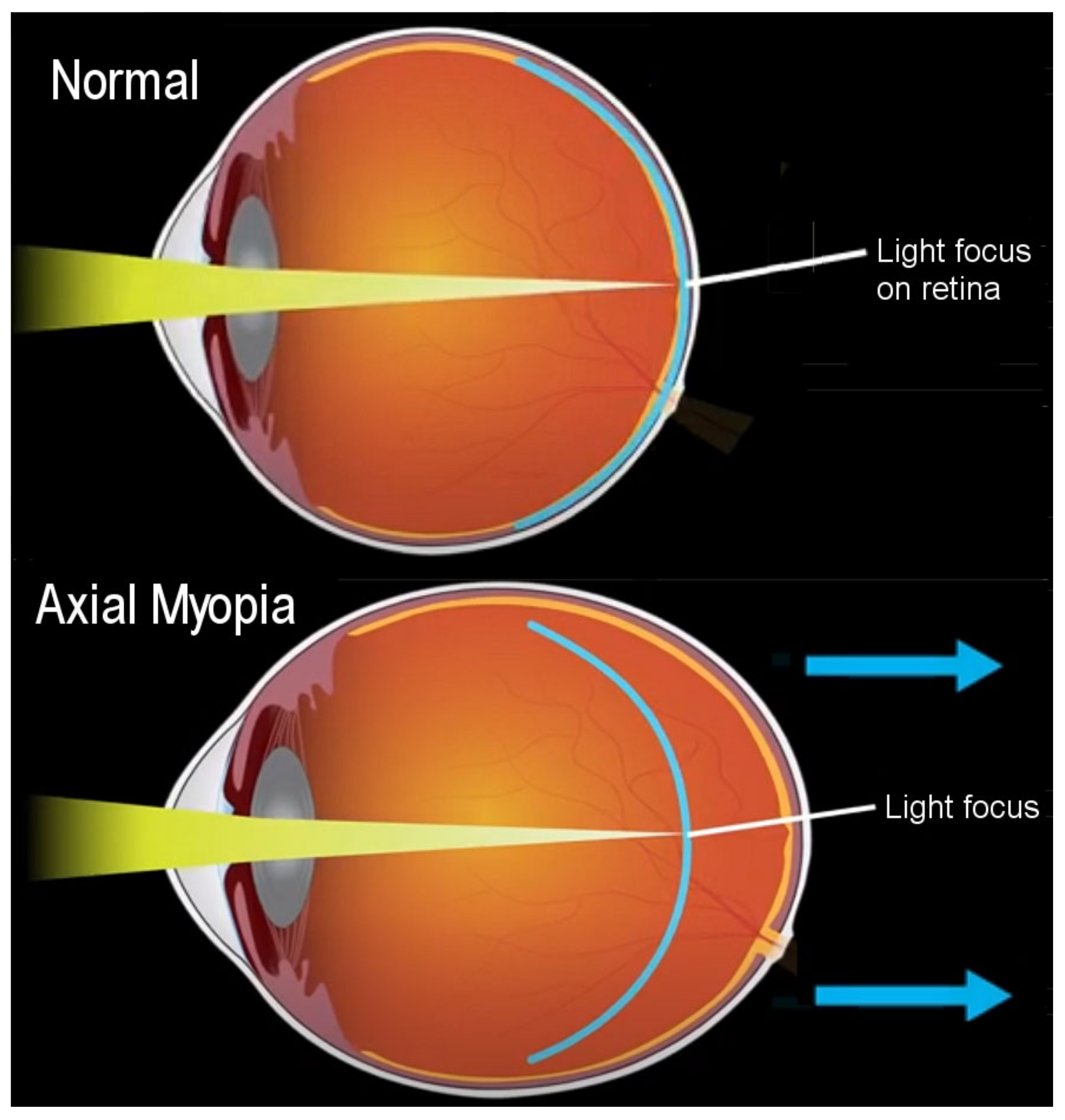 Epidemiologia 05 00003 g001