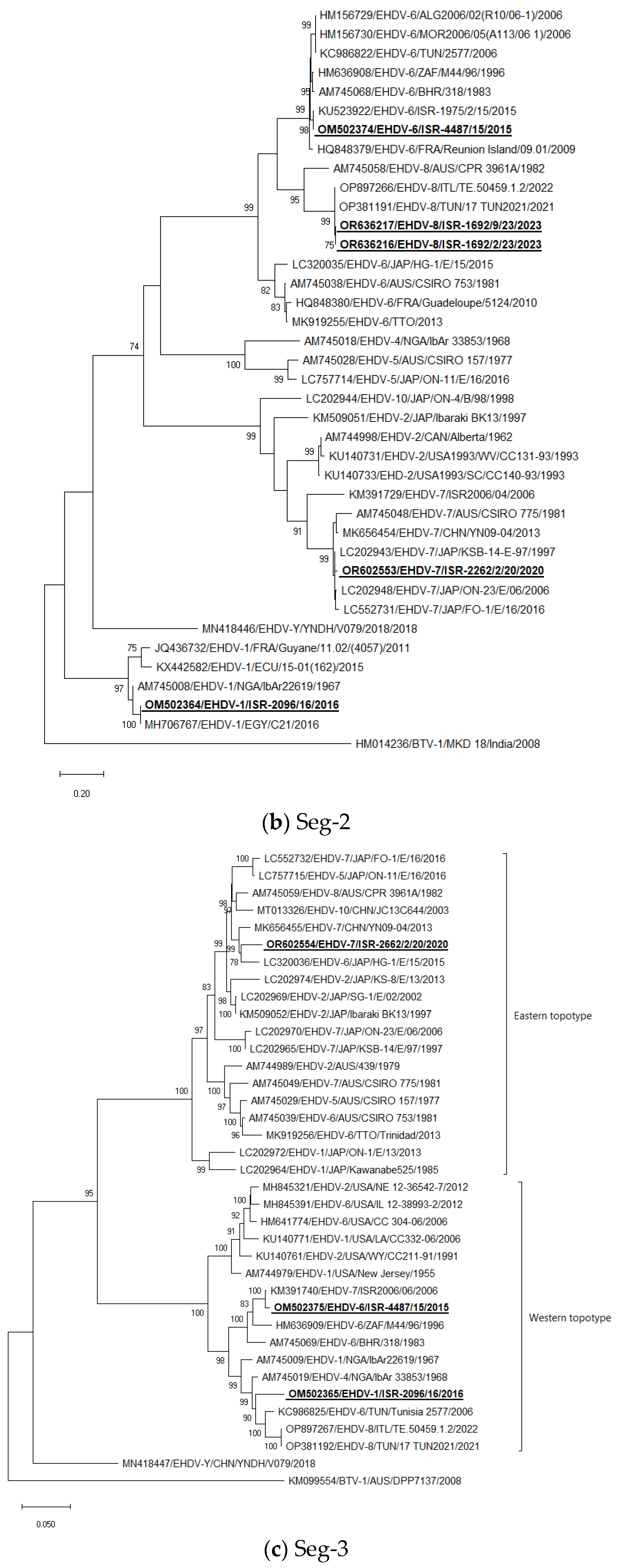 Epidemiologia 05 00006 g001b