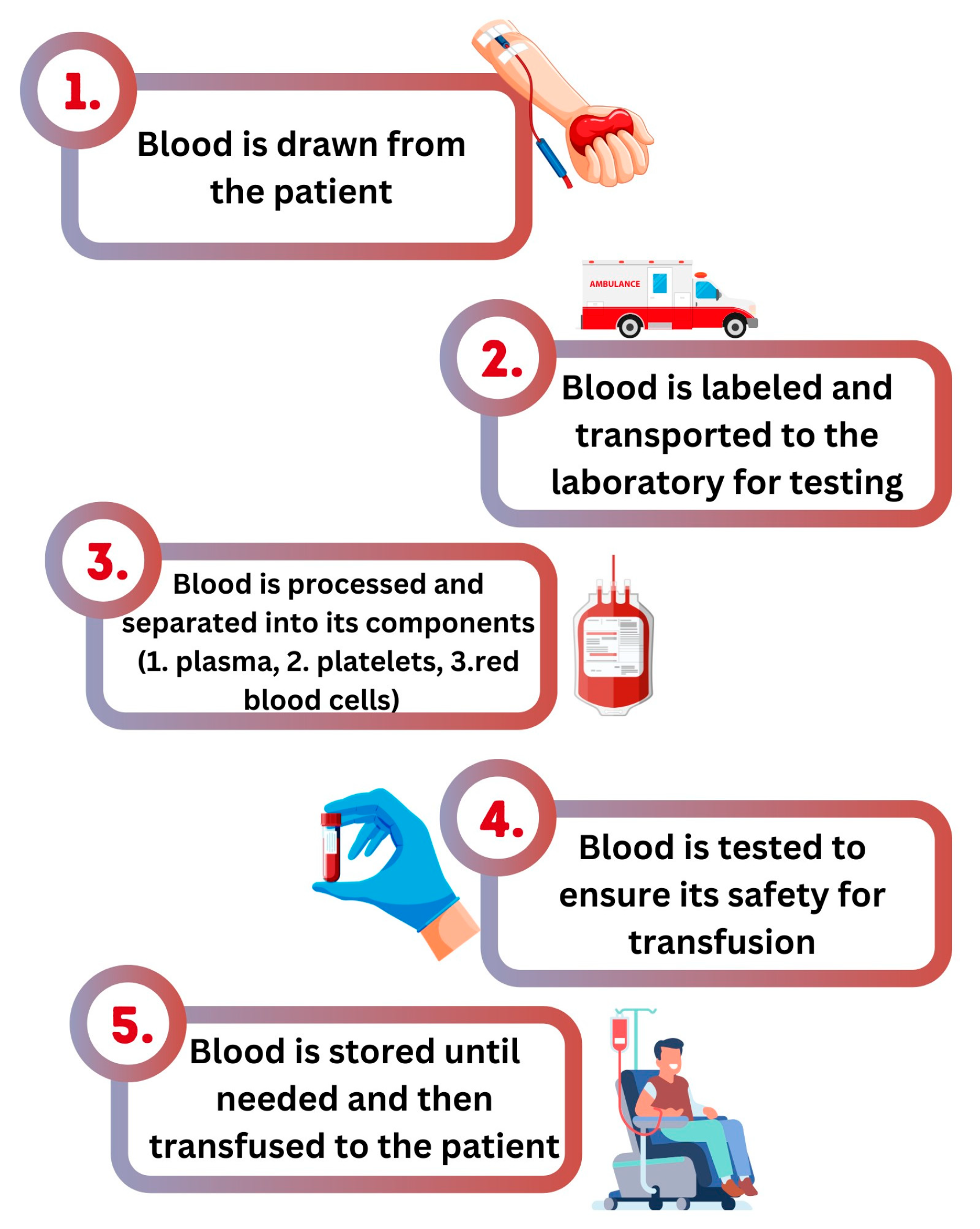 Epidemiologia 05 00052 g001