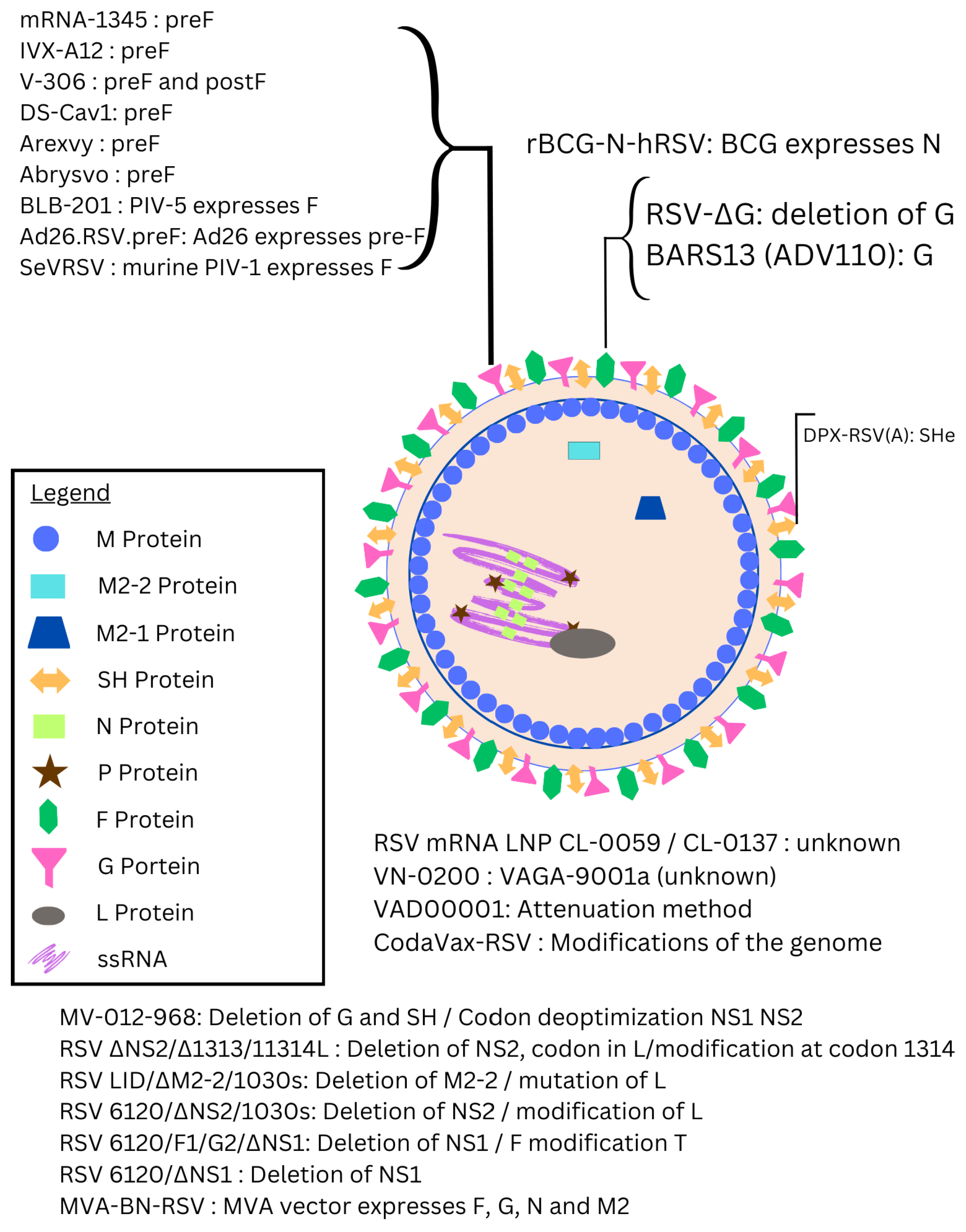 Epidemiologia 06 00016 g001