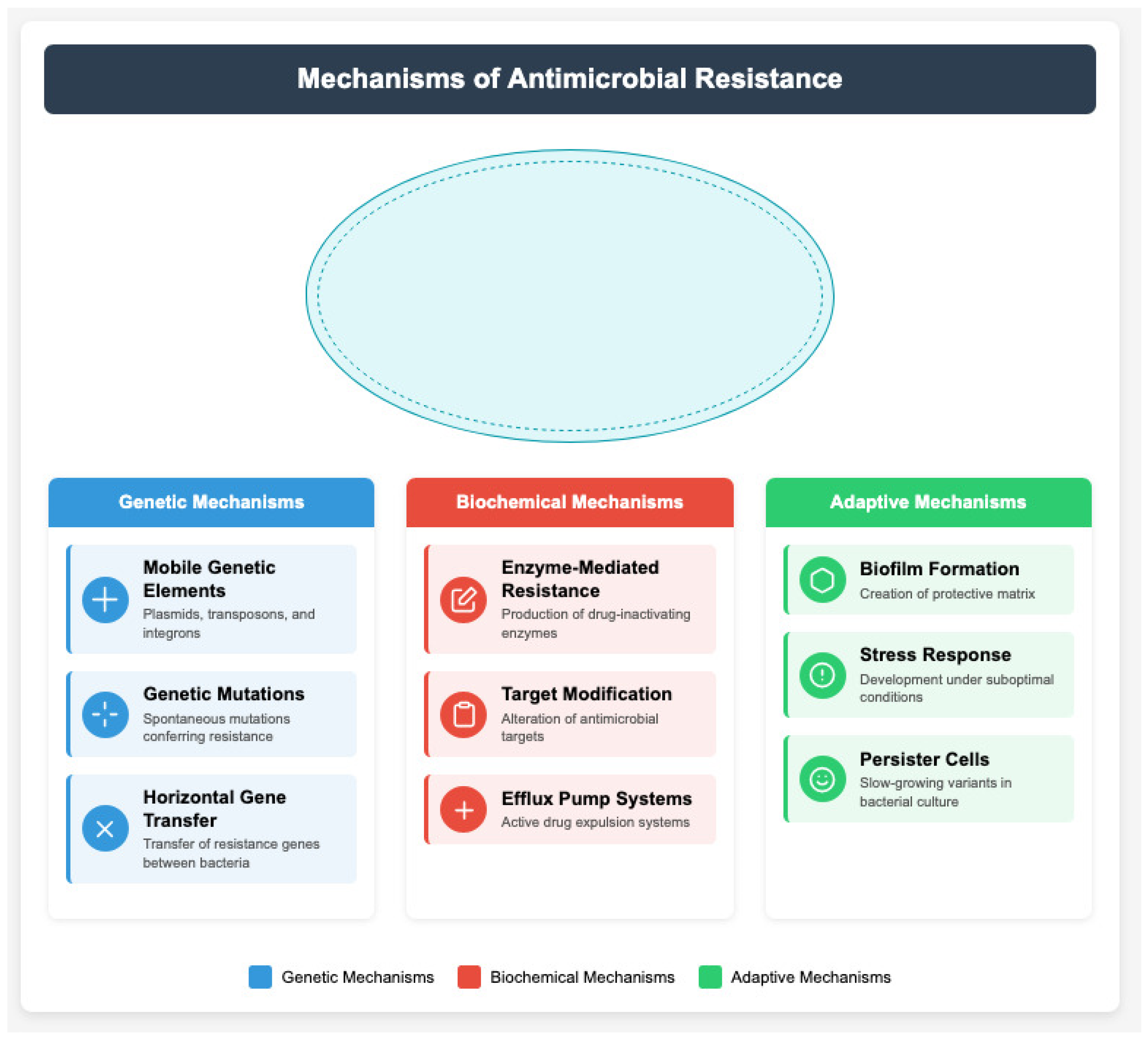 Epidemiologia 06 00021 g002