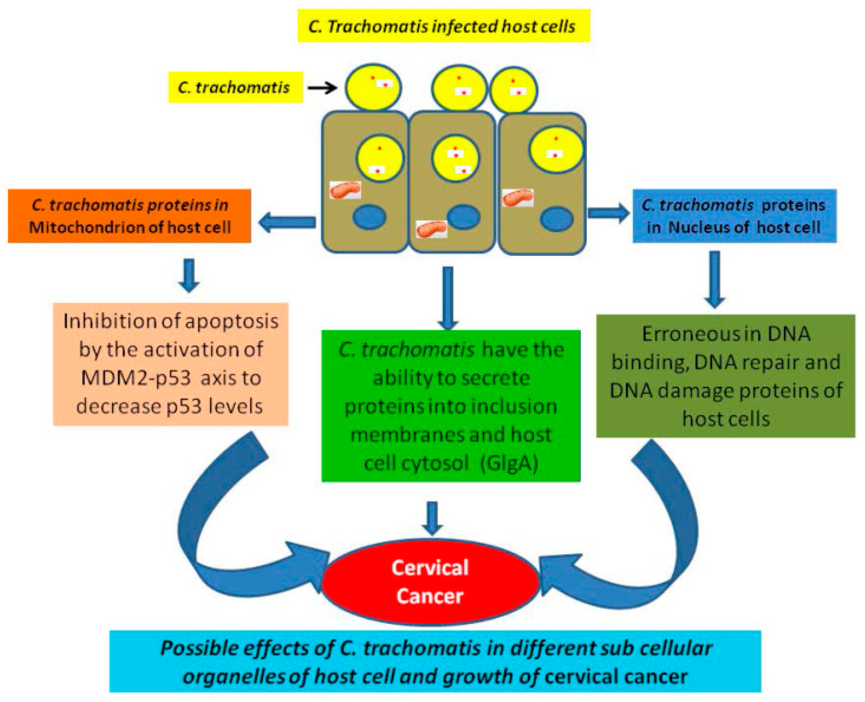 Epidemiologia 06 00079 g001