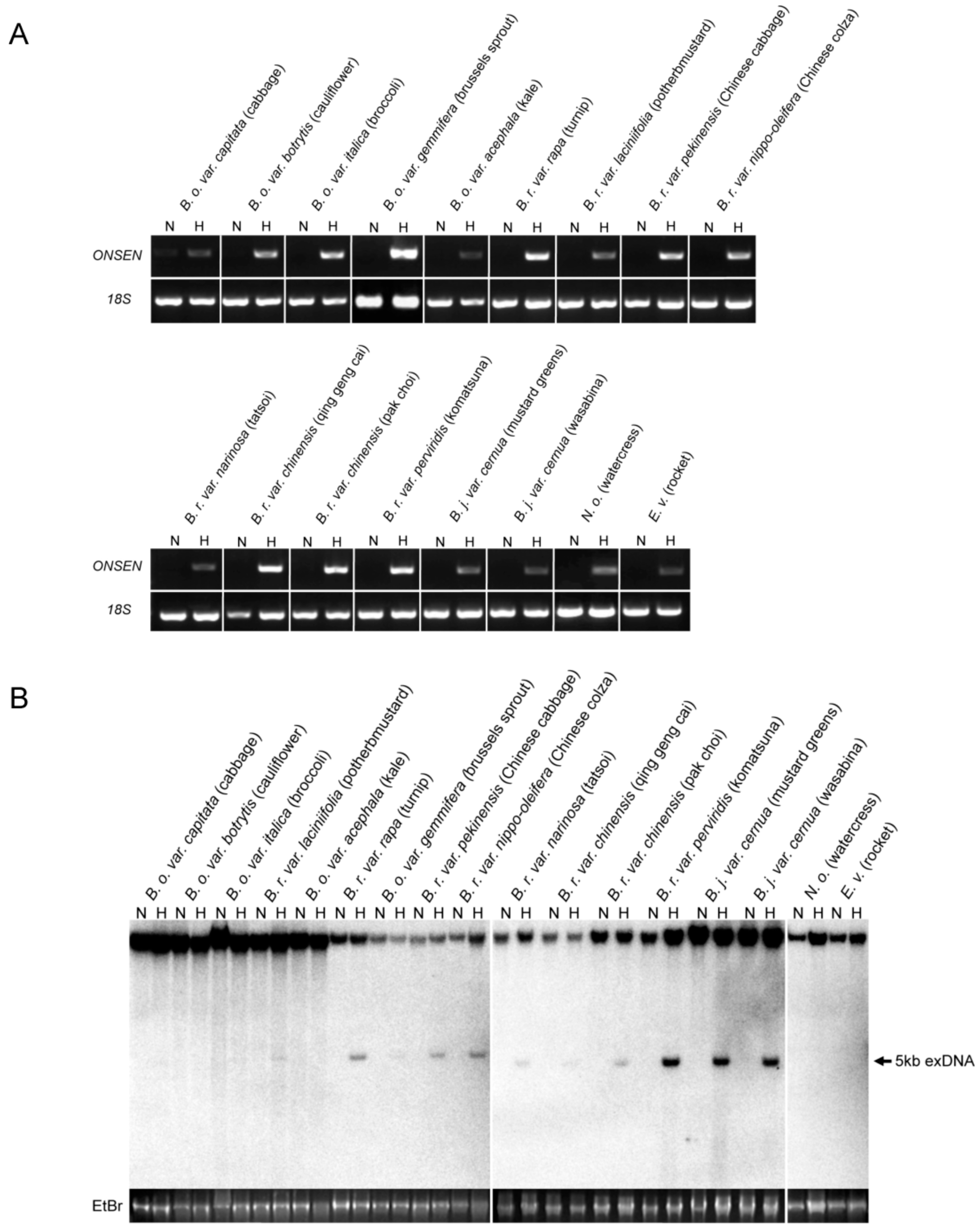 Epigenomes 01 00007 g002