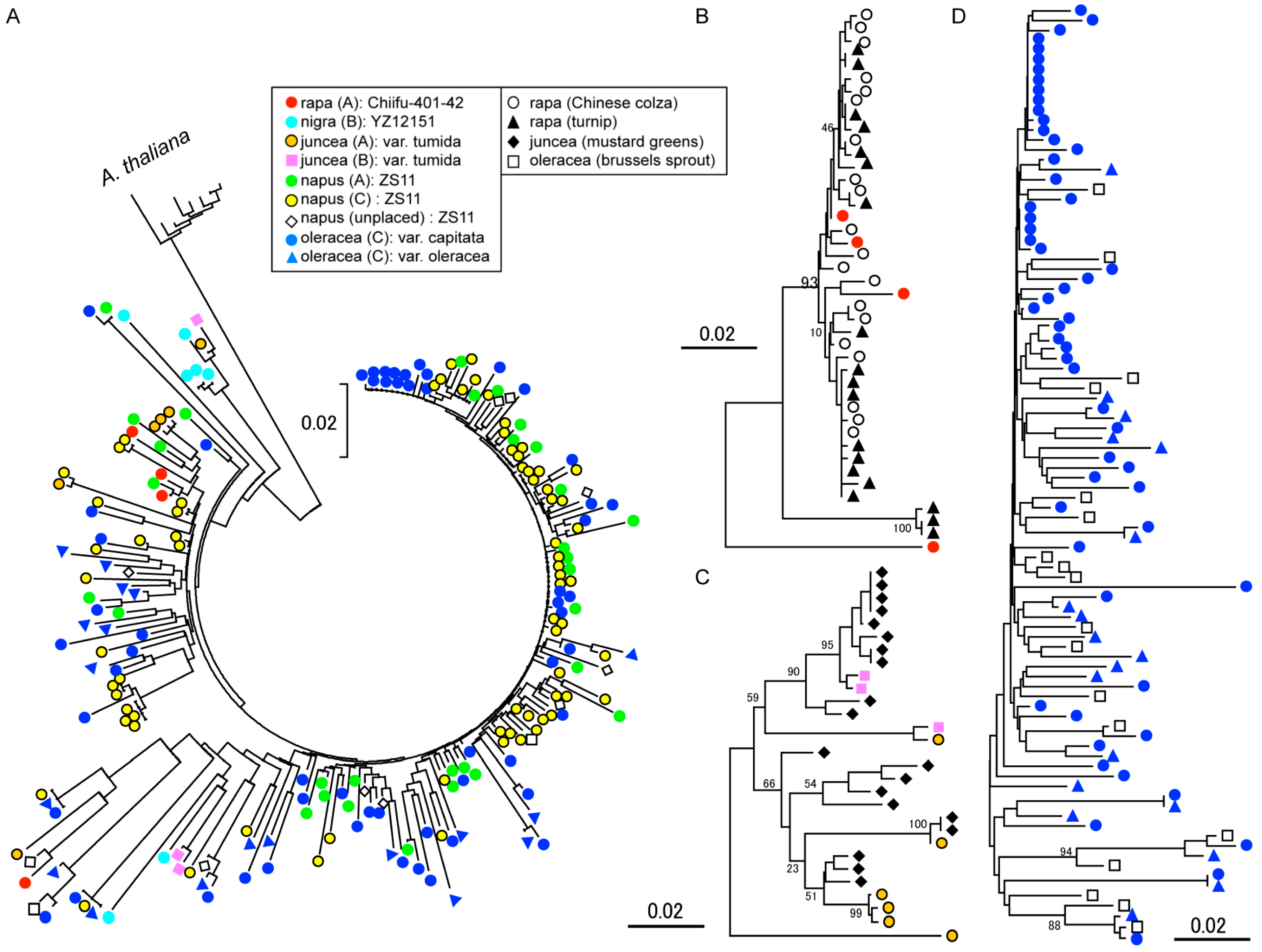 Epigenomes 01 00007 g003