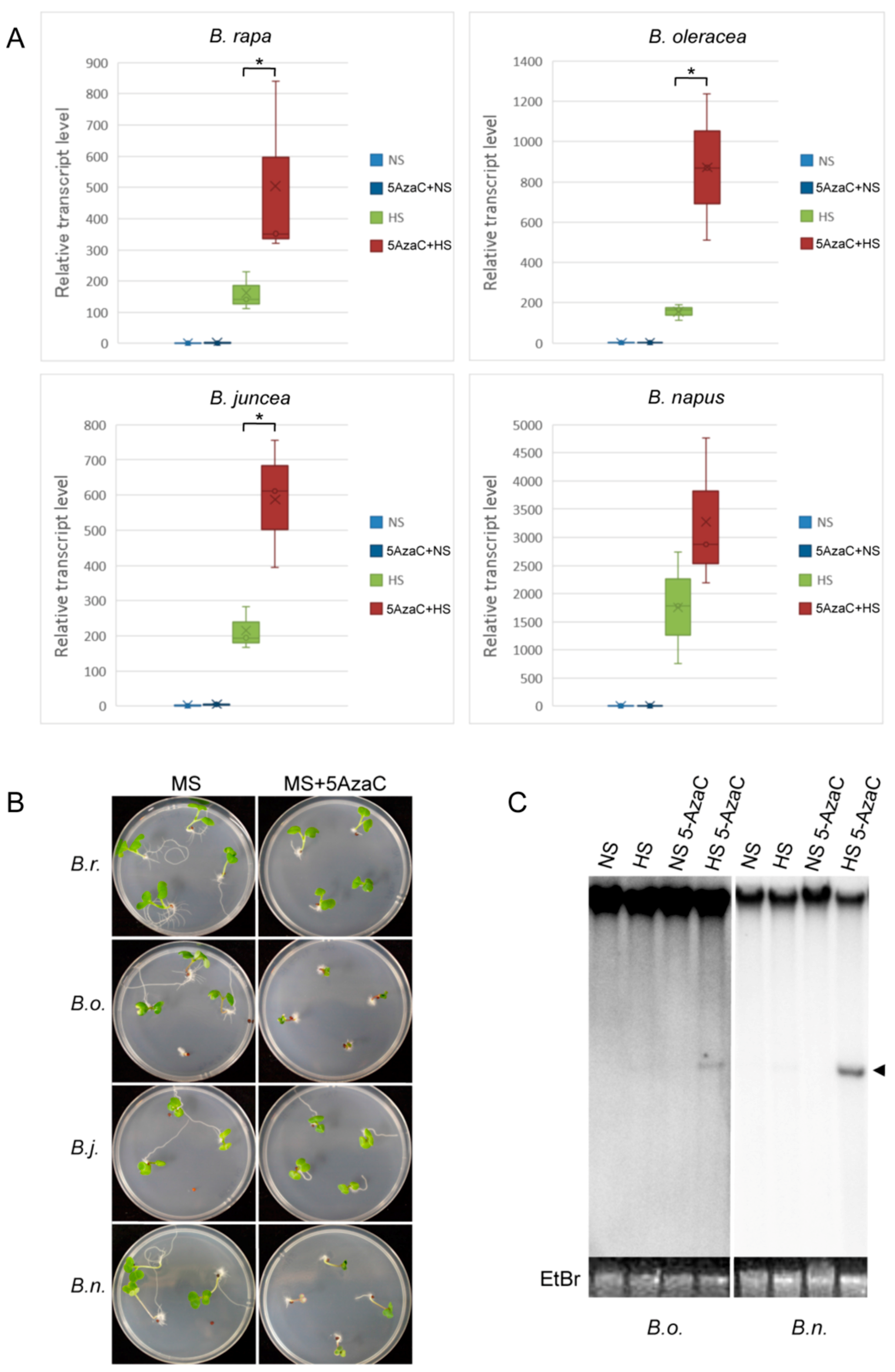 Epigenomes 01 00007 g005