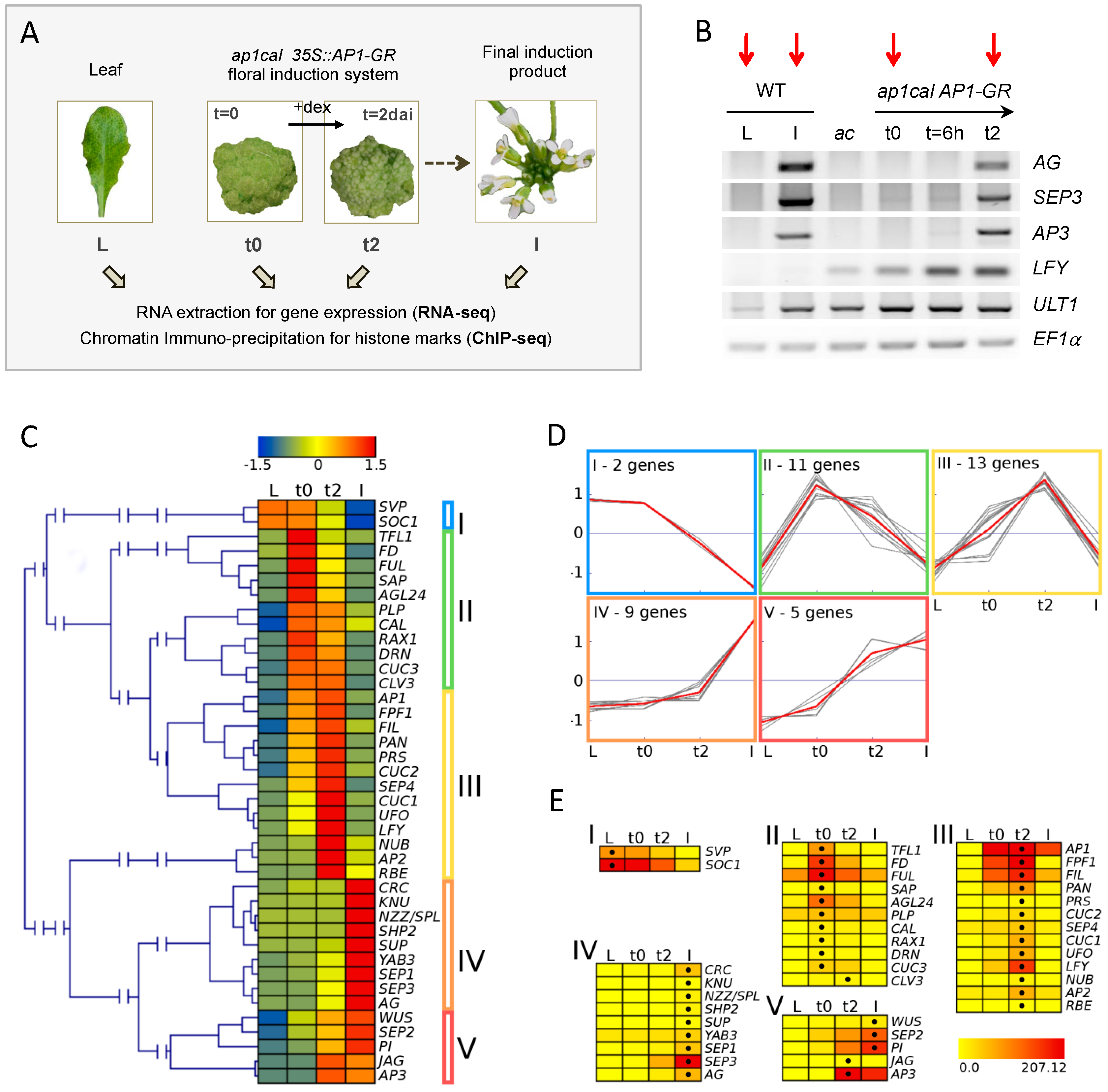 Epigenomes 01 00008 g001