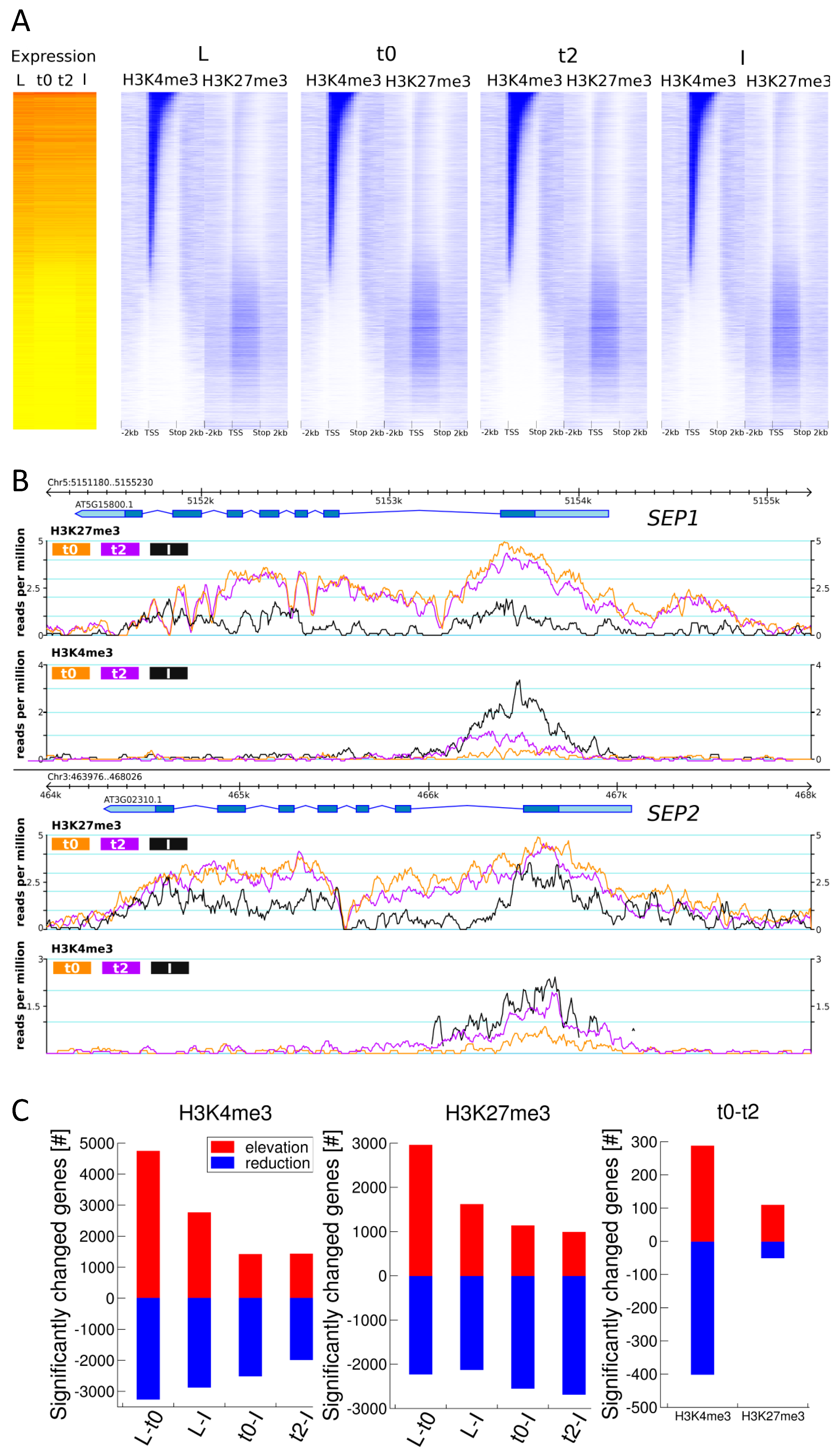 Epigenomes 01 00008 g002