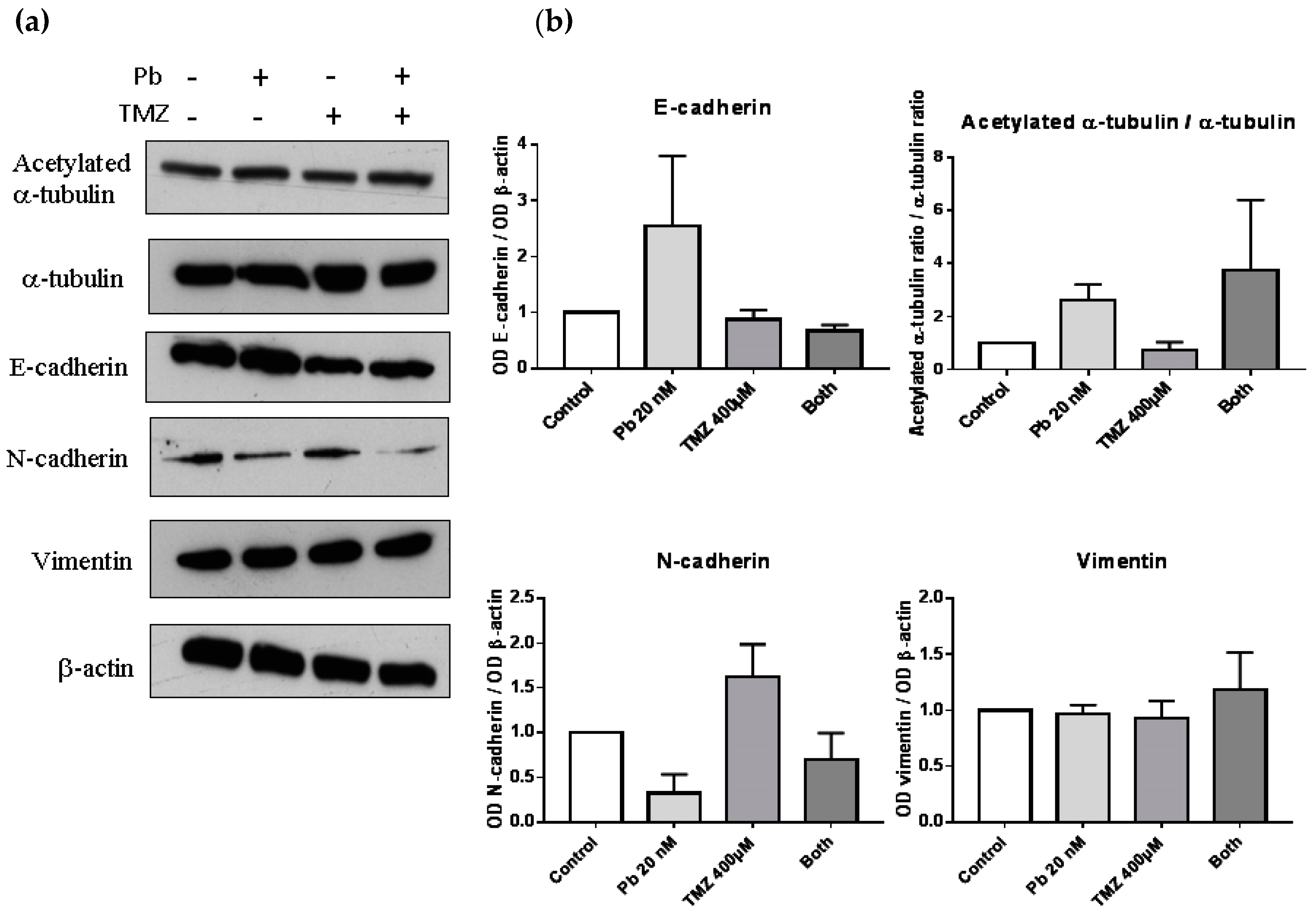 Epigenomes 02 00005 g003 Epigenomes 02 00005 g003