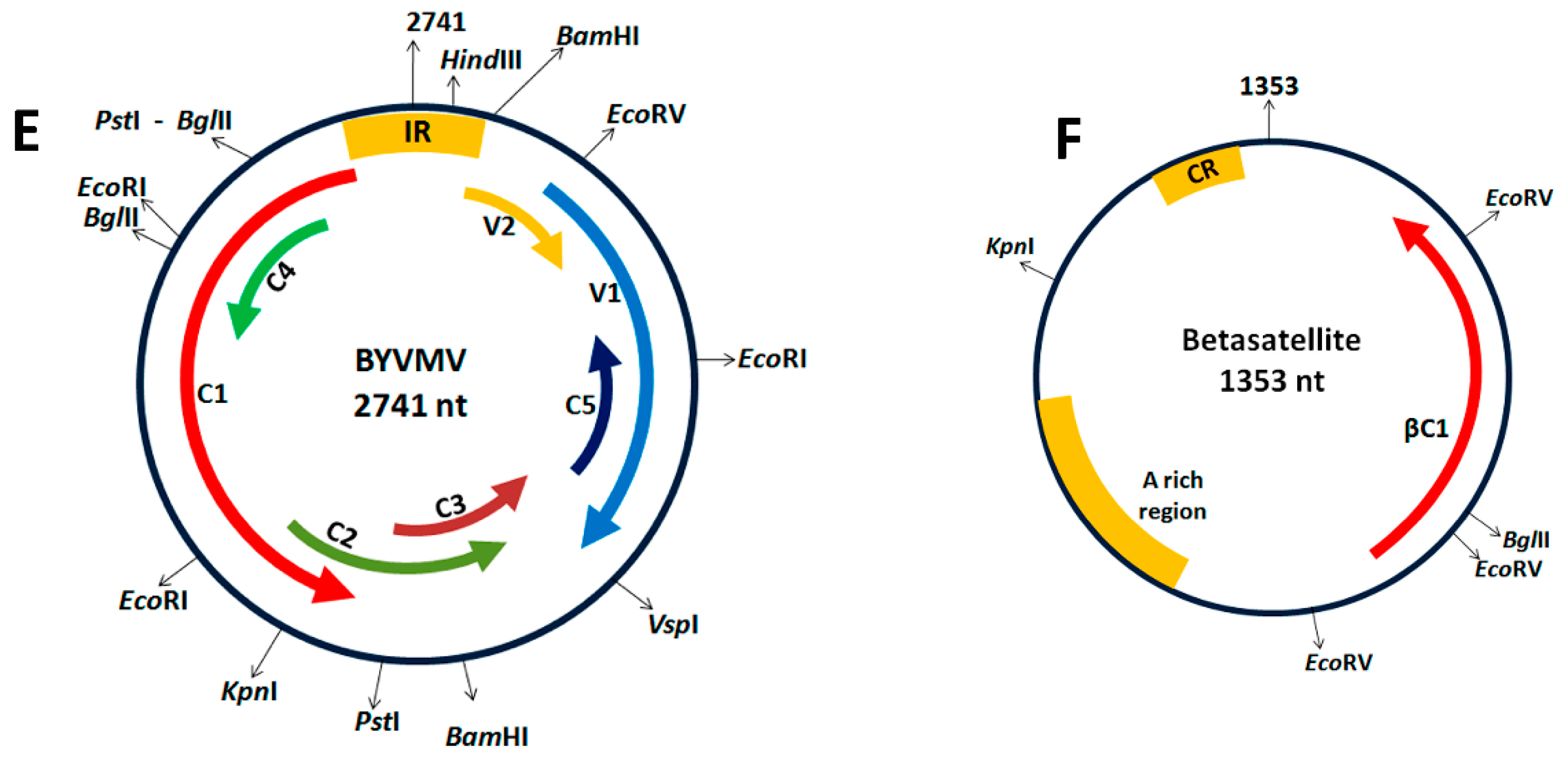 Epigenomes 02 00007 g001b