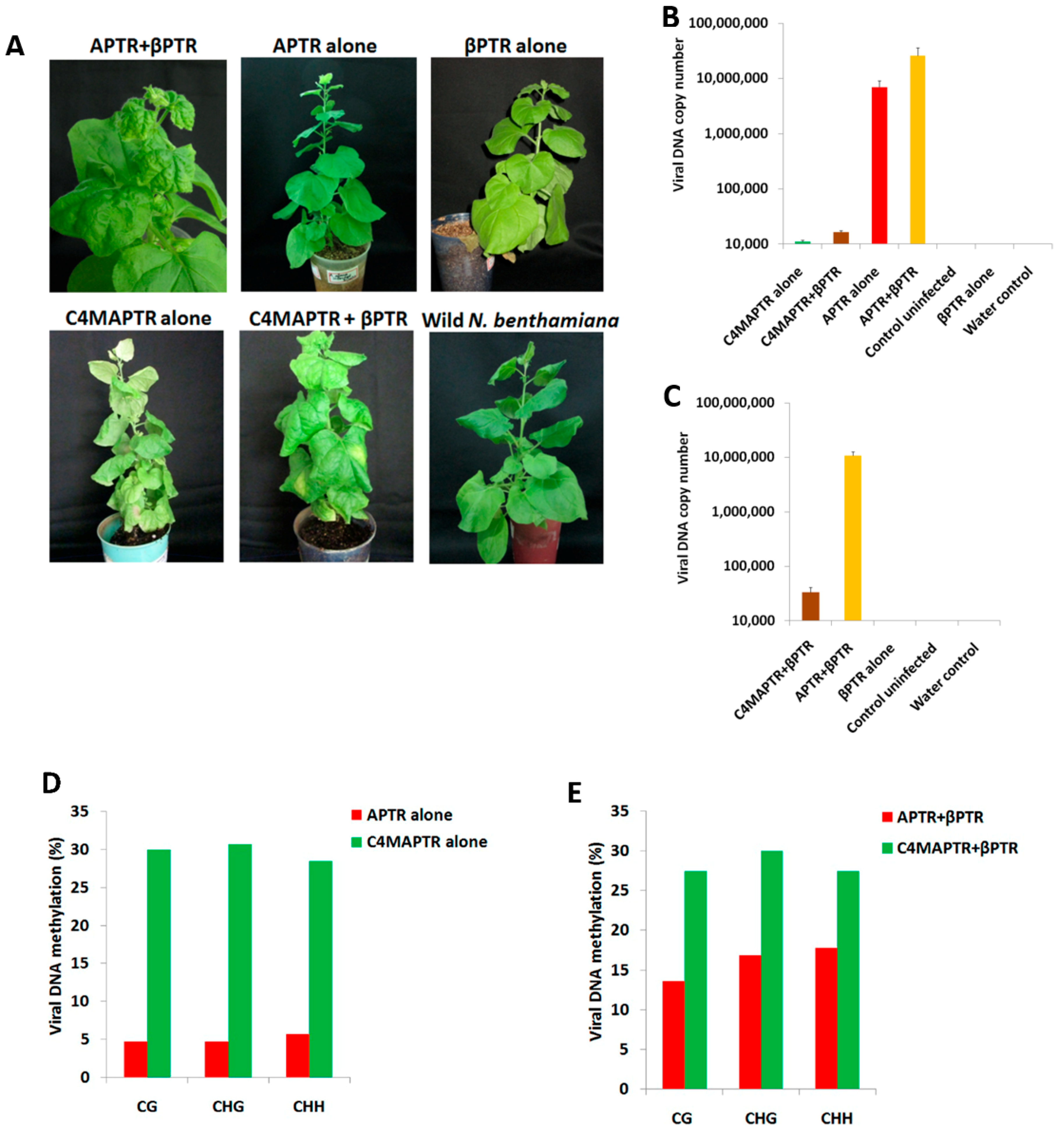 Epigenomes 02 00007 g006