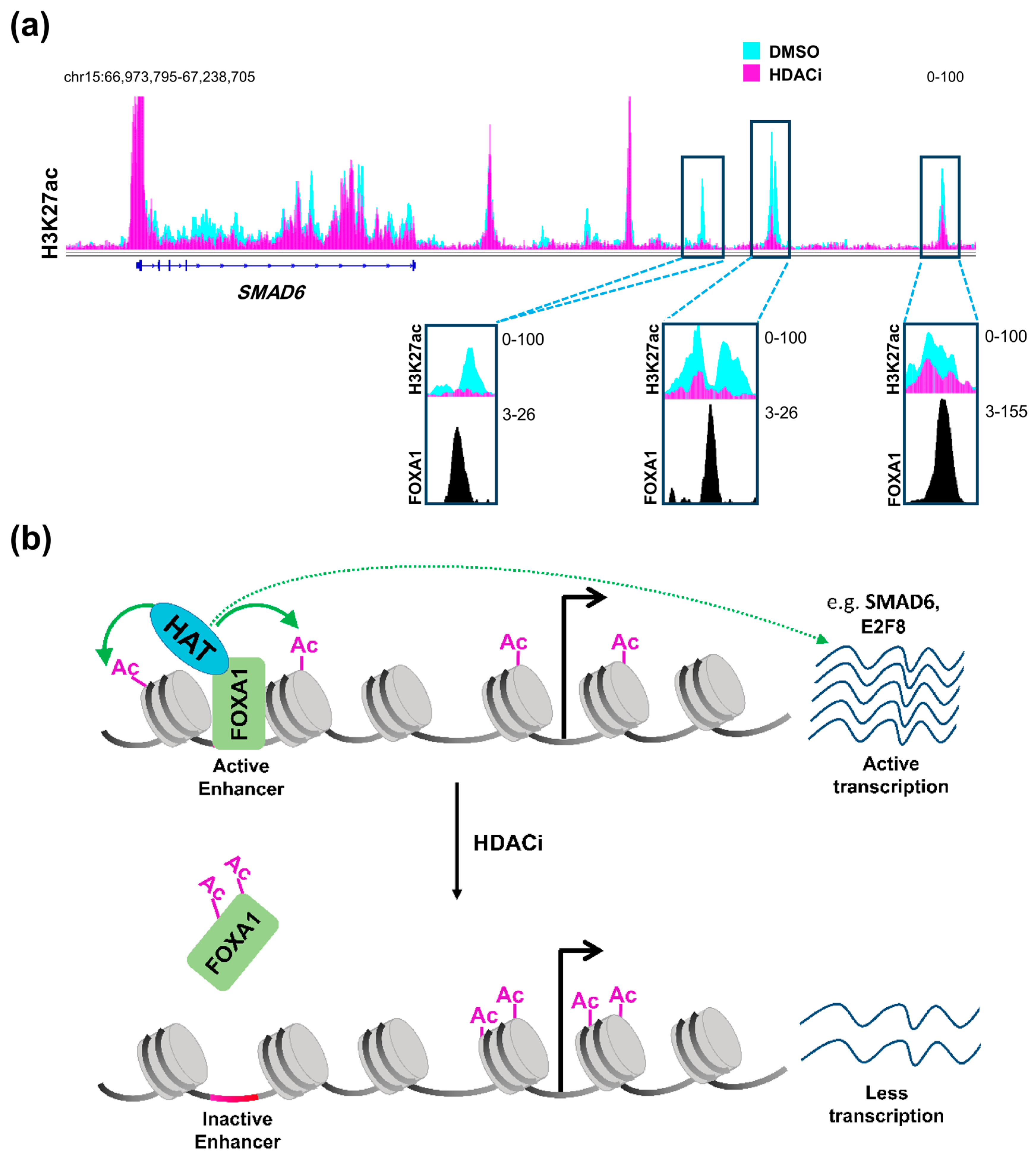 Epigenomes Free Full Text Epigenetic Targeting Of Aberrant Transcriptional Modulation In Pancreatic Cancer Html