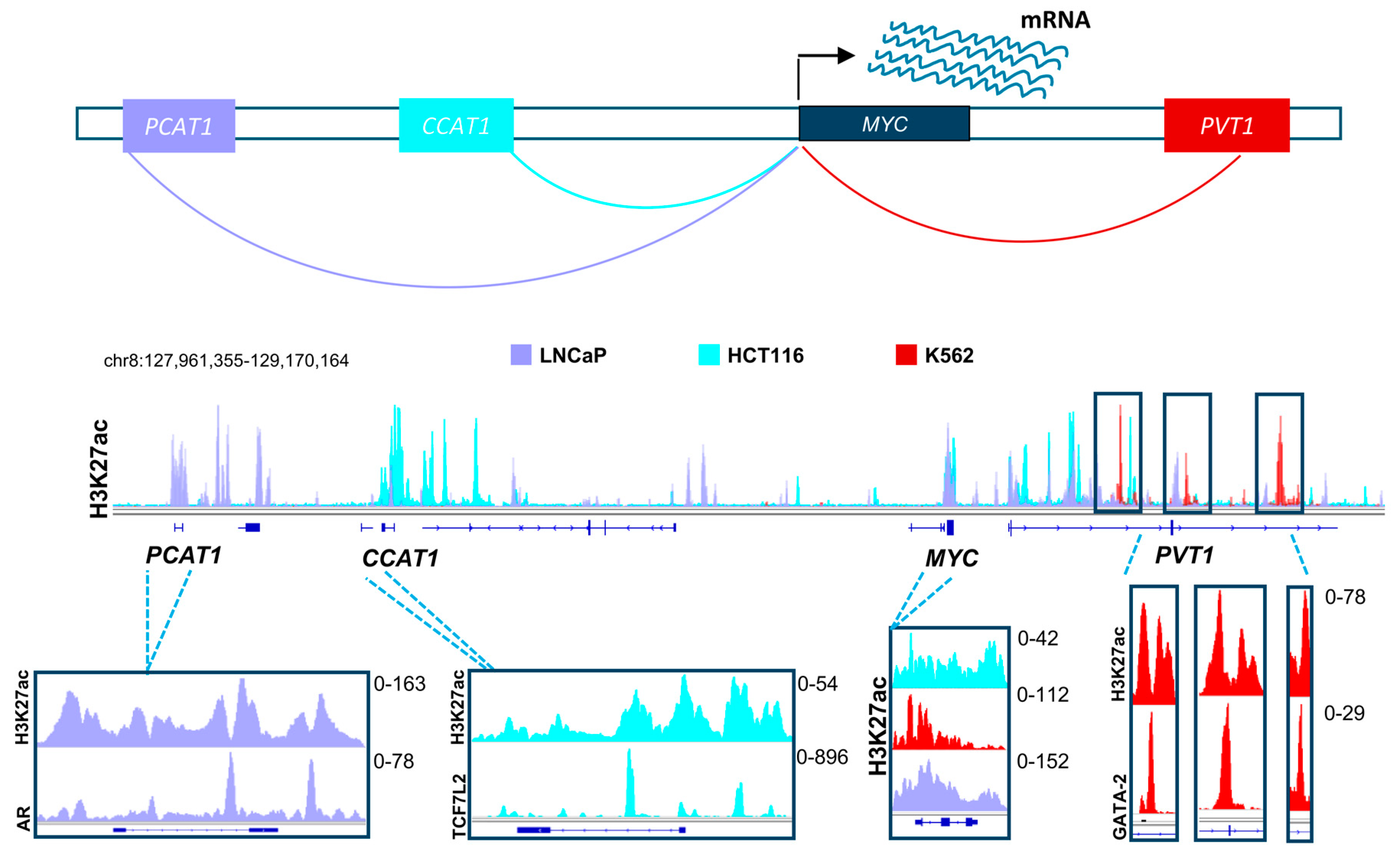 Epigenomes 02 00008 g002