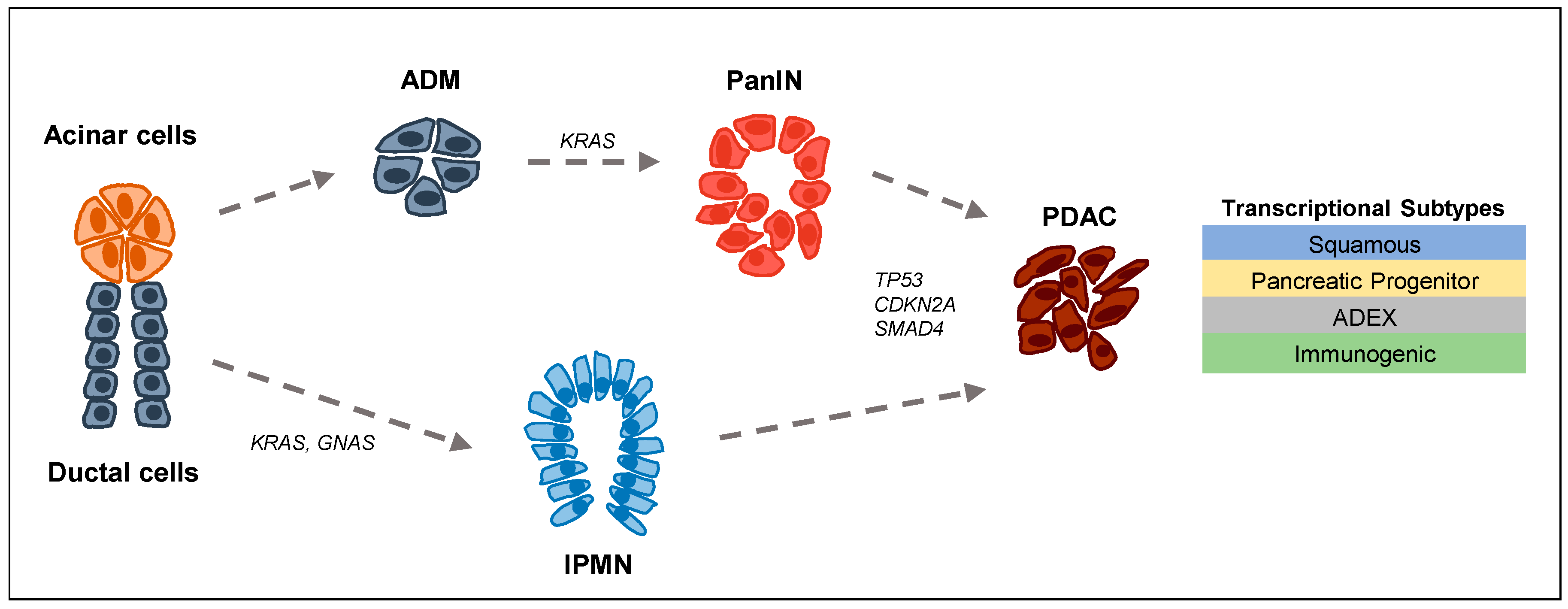 Epigenomes 02 00011 g001