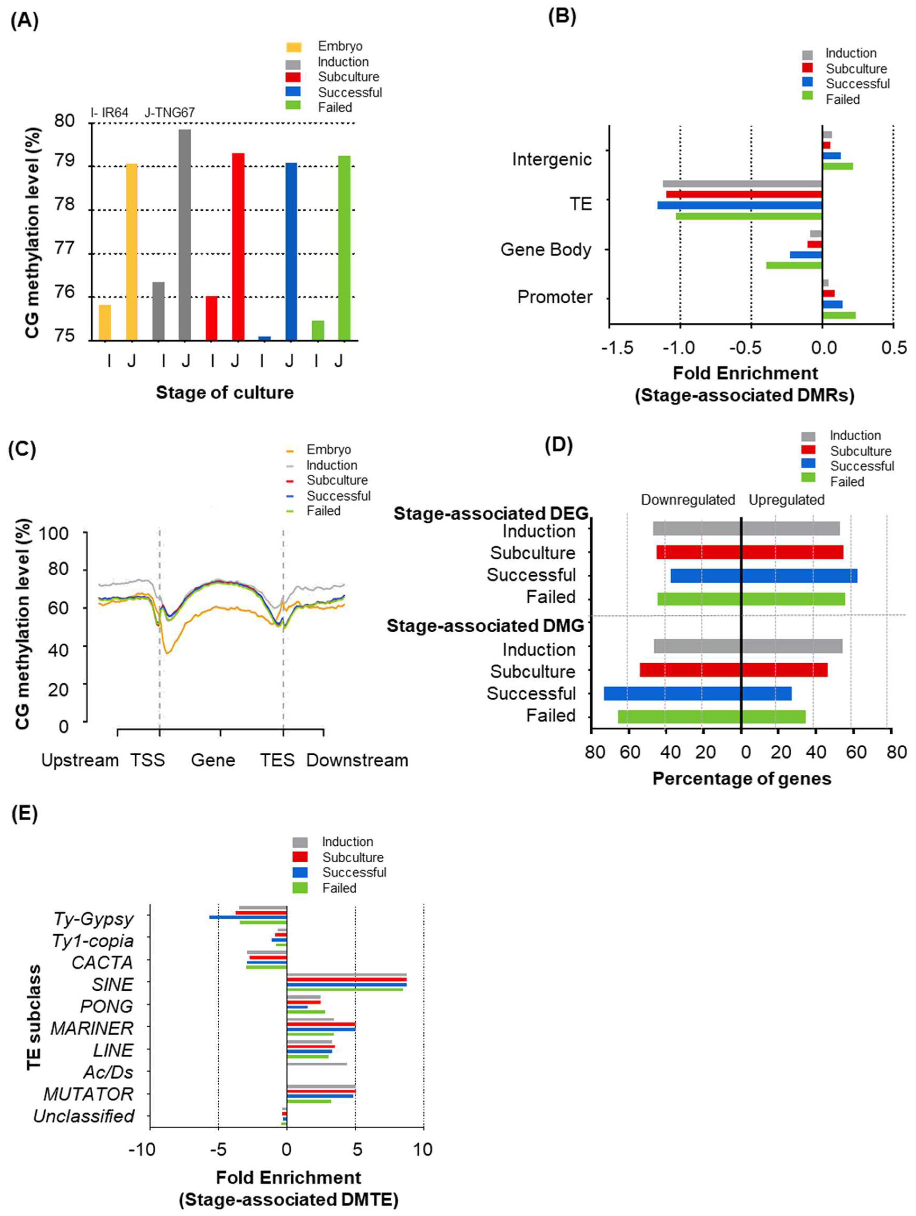 Epigenomes 02 00014 g003 Epigenomes 02 00014 g003