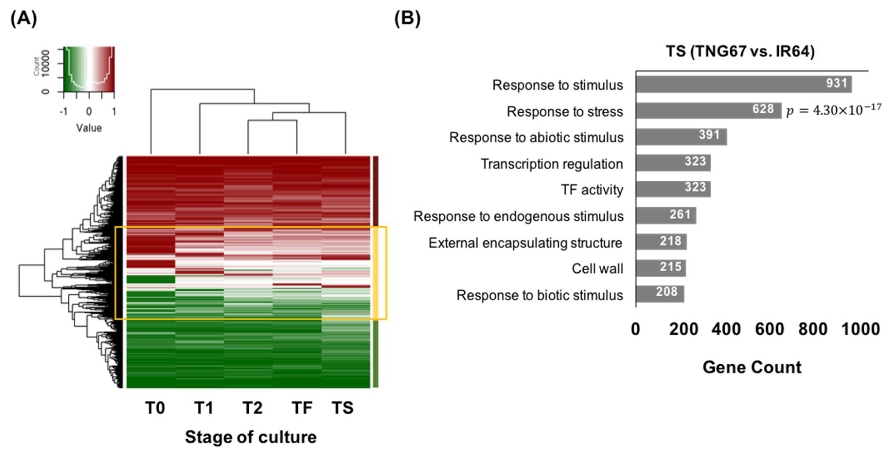 Epigenomes 02 00014 g005 Epigenomes 02 00014 g005