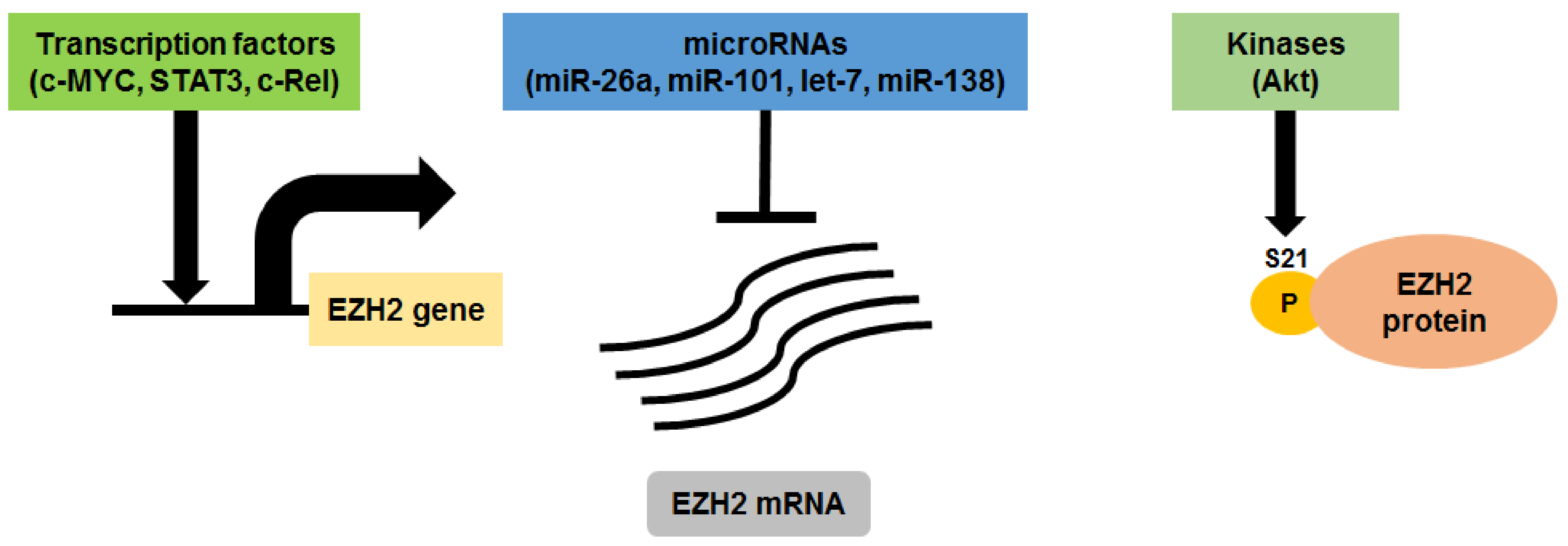 Epigenomes 02 00016 g002 Epigenomes 02 00016 g002