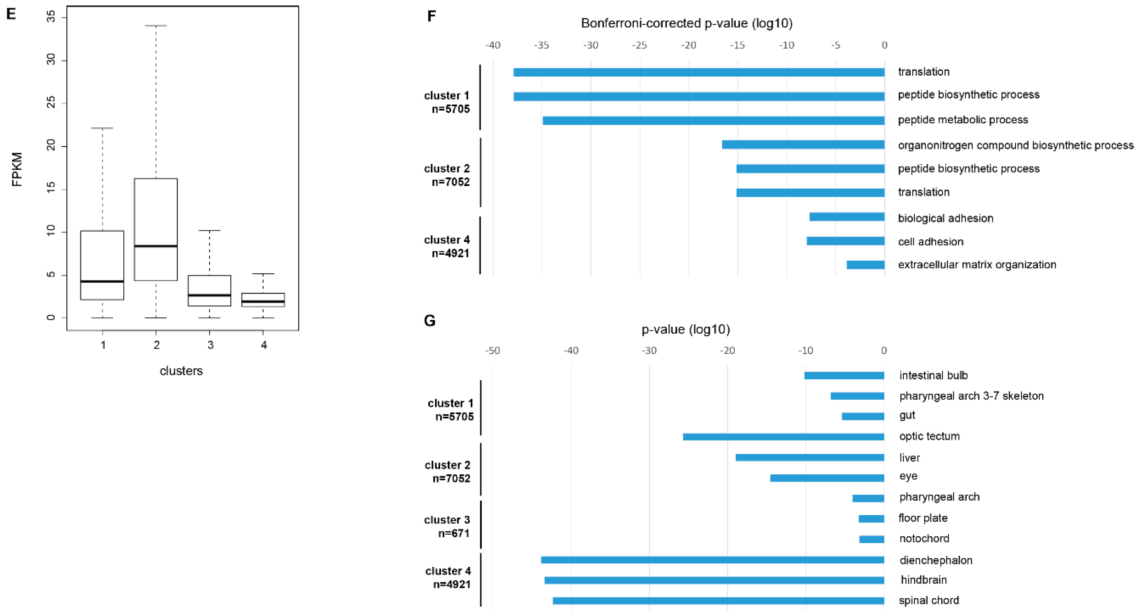 Epigenomes 02 00019 g002b