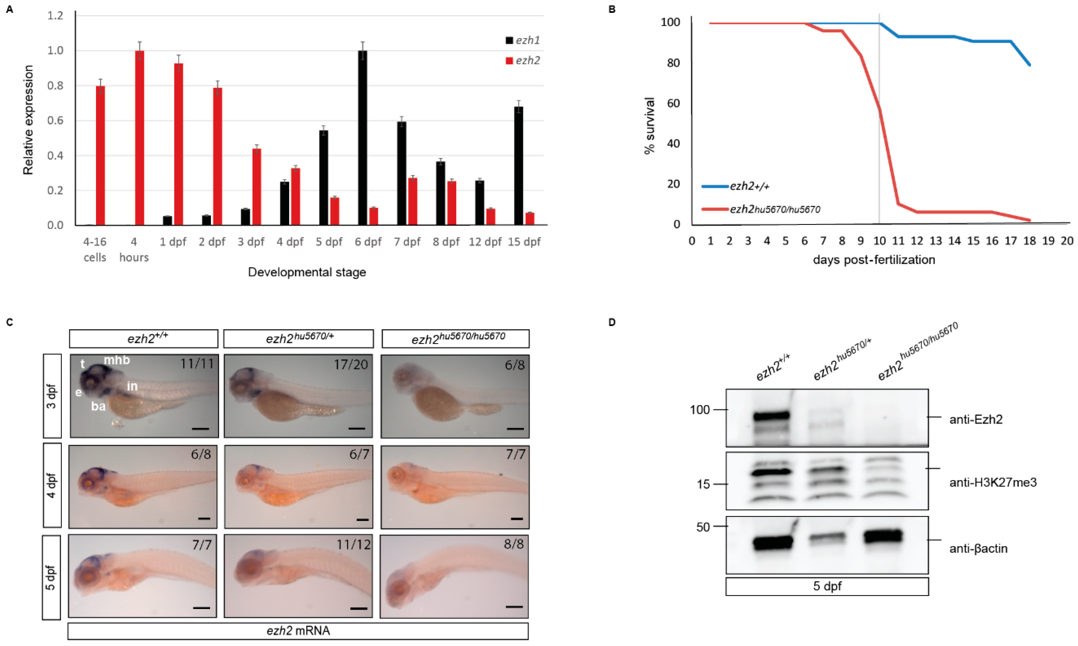 Epigenomes 02 00019 g003