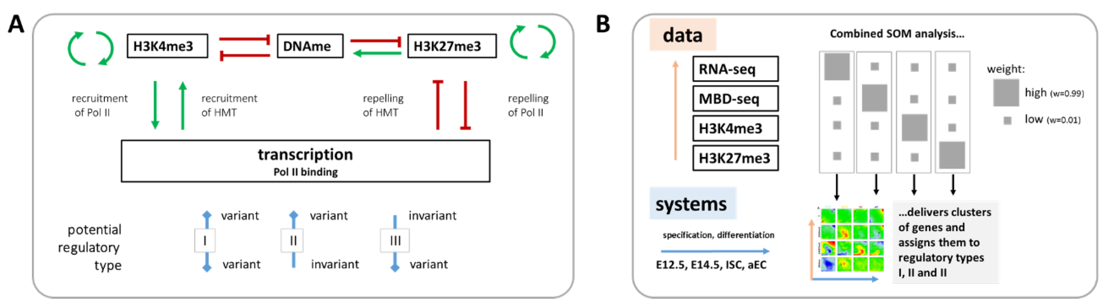 Epigenomes 02 00020 g001 Epigenomes 02 00020 g001