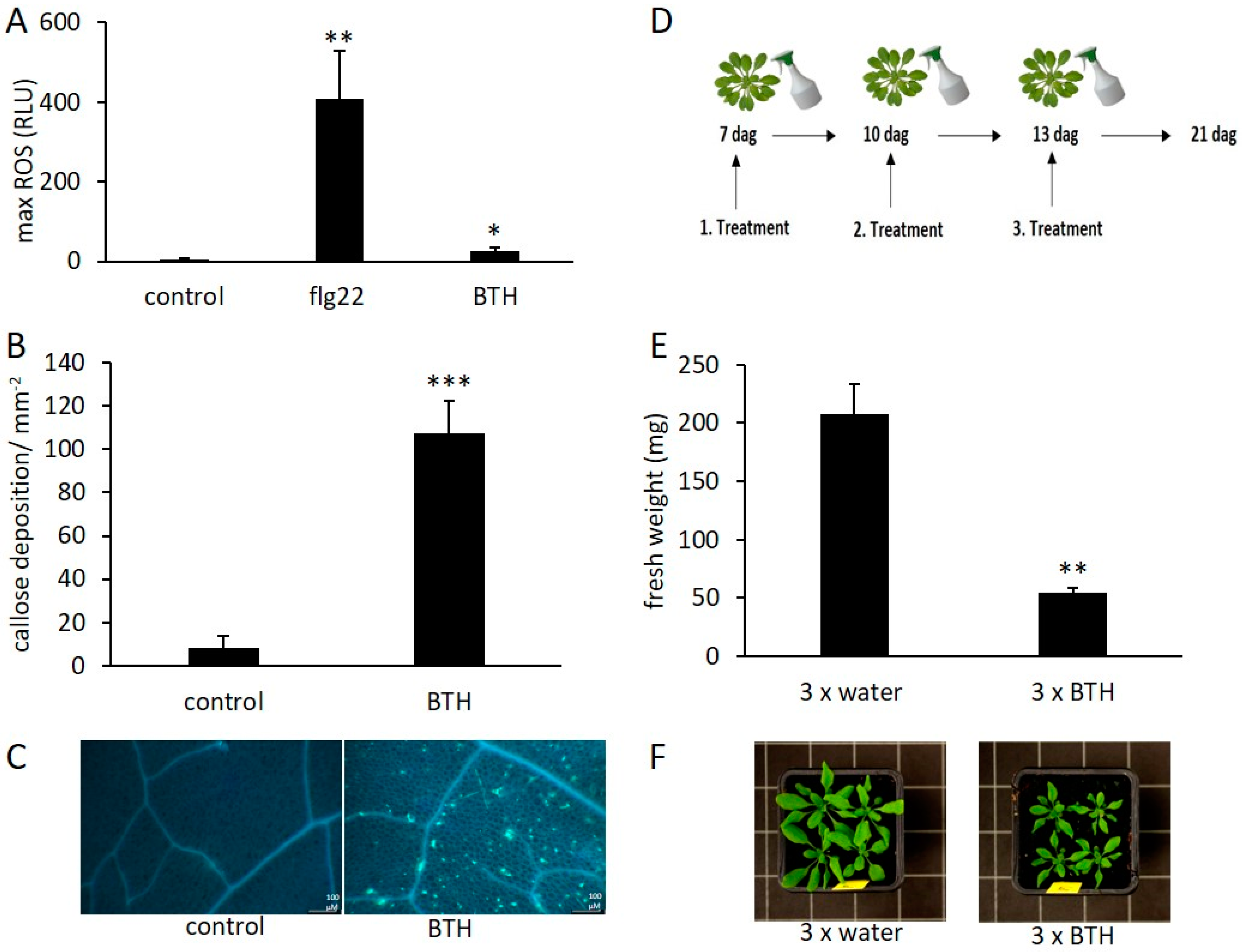 Epigenomes 03 00003 g001 Epigenomes 03 00003 g001