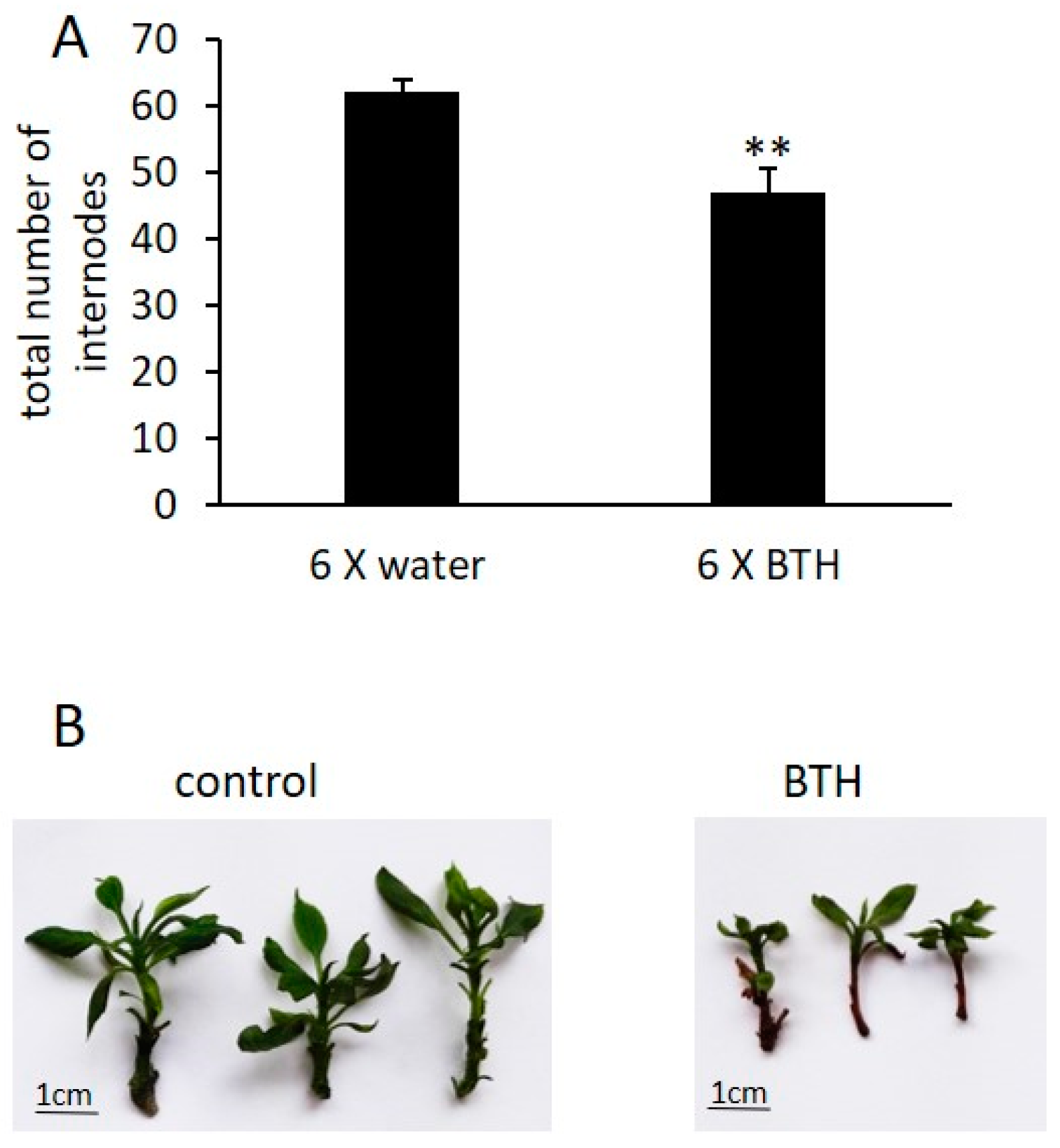 Epigenomes 03 00003 g0a1 Epigenomes 03 00003 g0a1