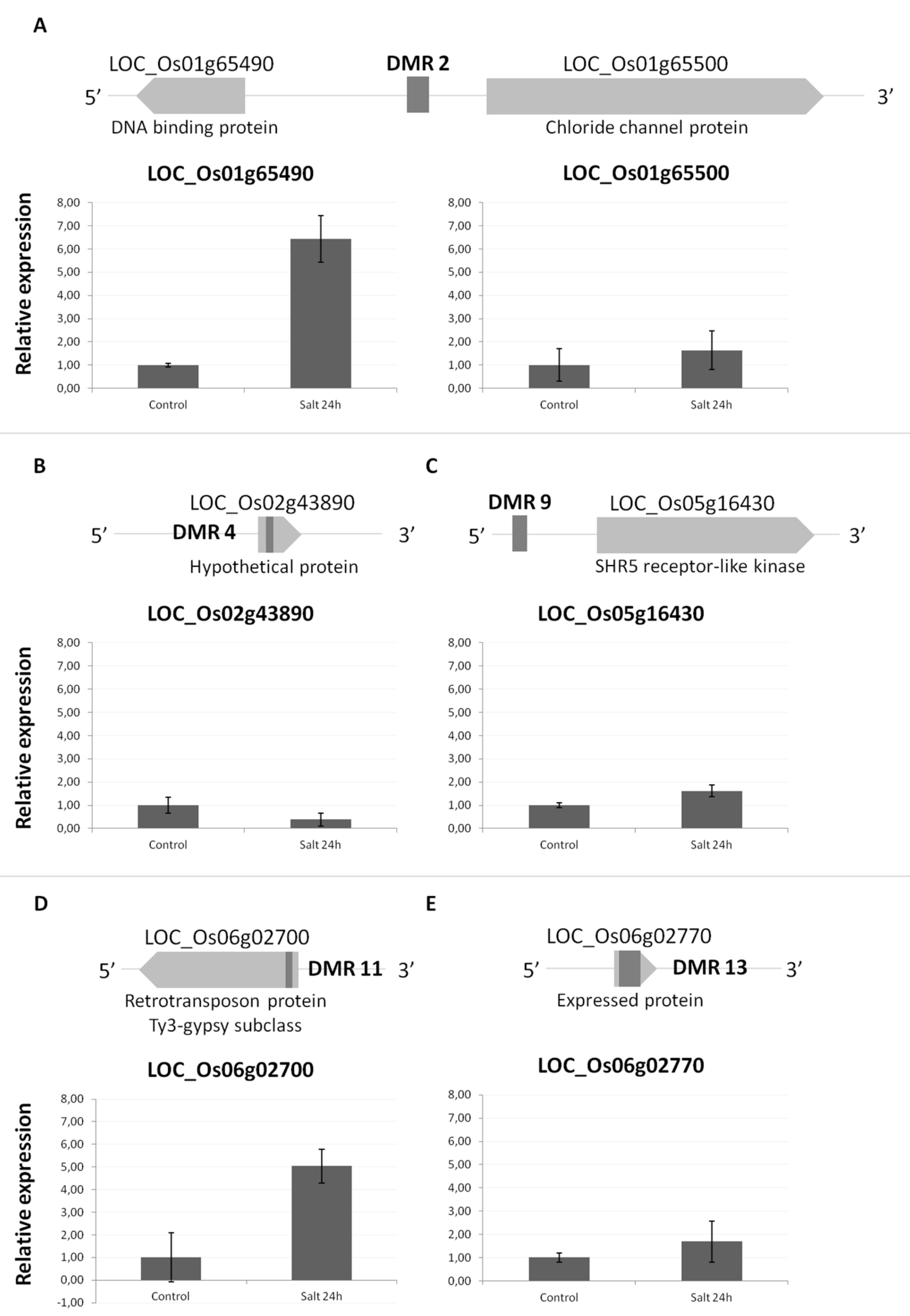 Epigenomes 03 00004 g003 Epigenomes 03 00004 g003