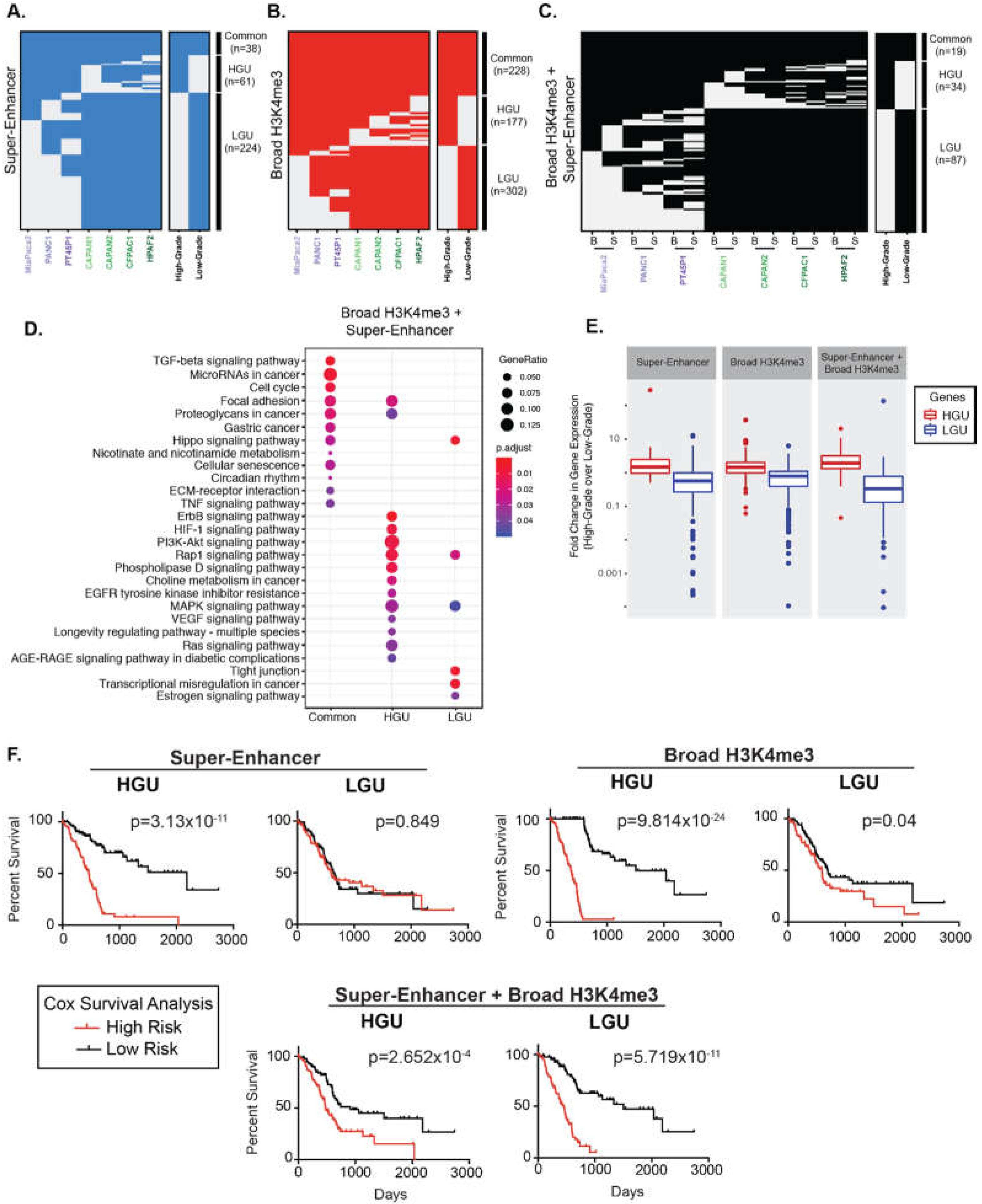 Epigenomes 03 00011 g002 Epigenomes 03 00011 g002