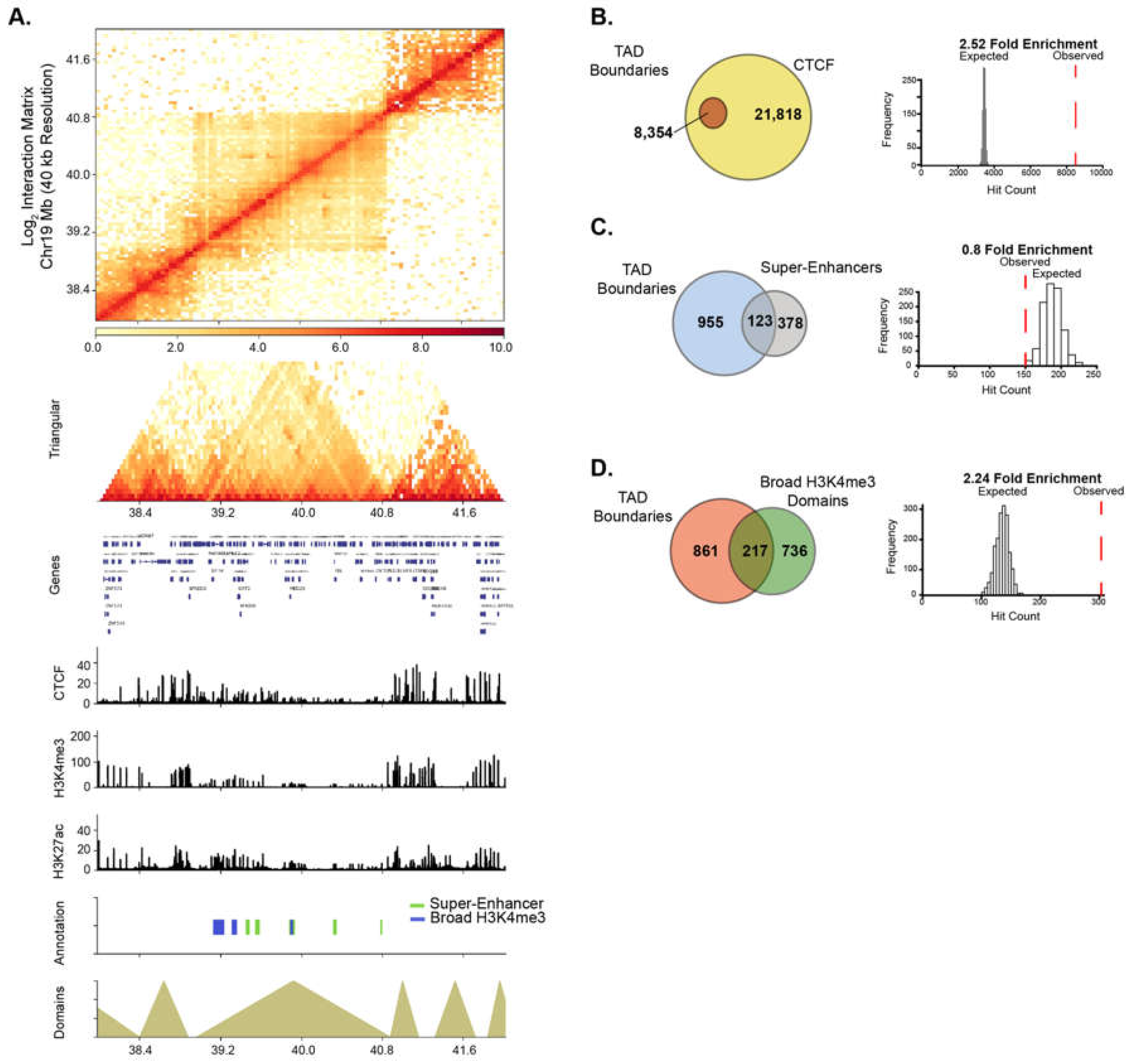 Editorial Sharing Epigenomes Globally >> Epigenomes Free Full Text Disruption Of Broad Epigenetic Domains Editorial Sharing Epigenomes Globally >> Epigenomes Free Full Text Disruption Of Broad Epigenetic Domains