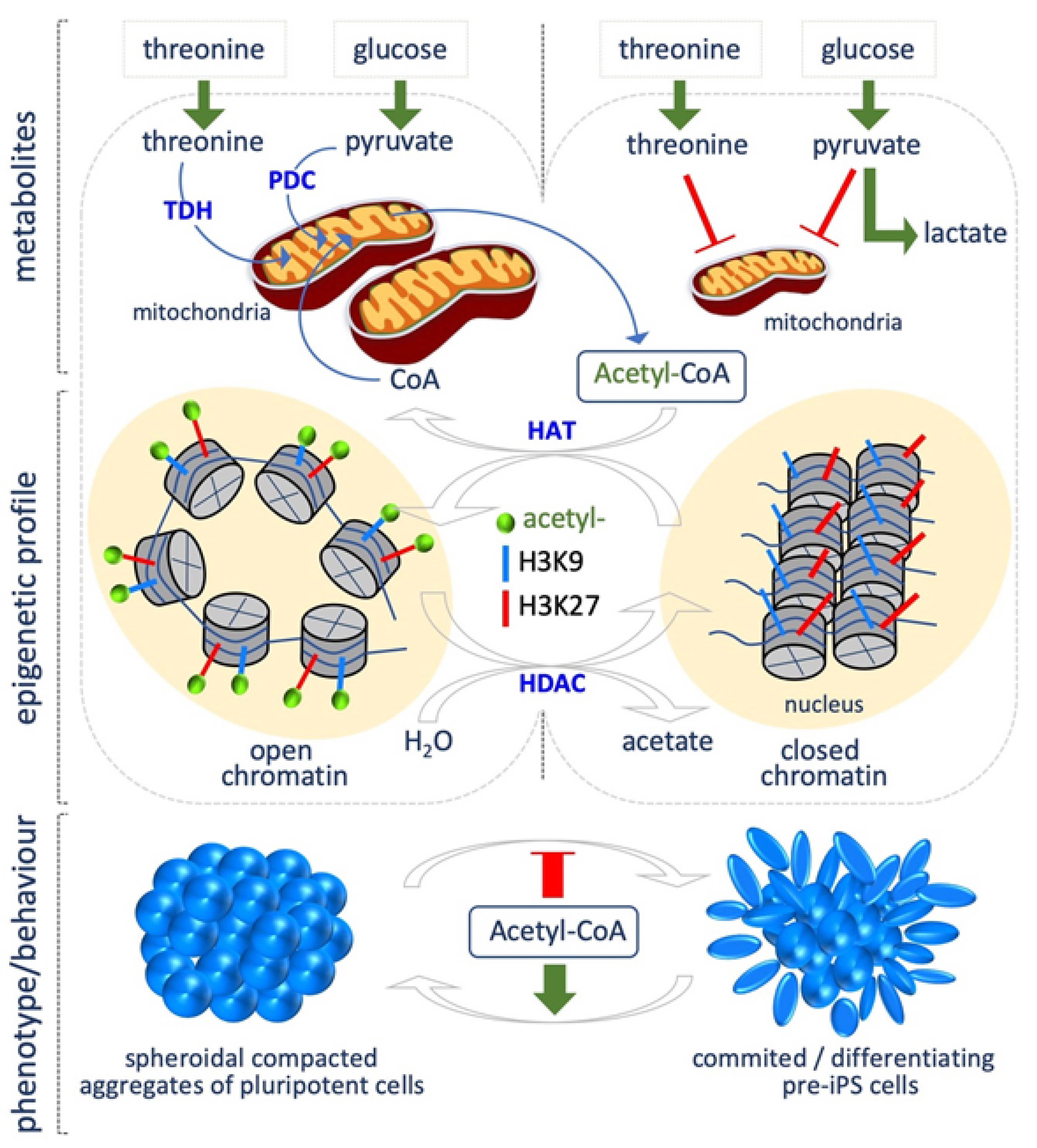 Epigenomes 03 00013 g001