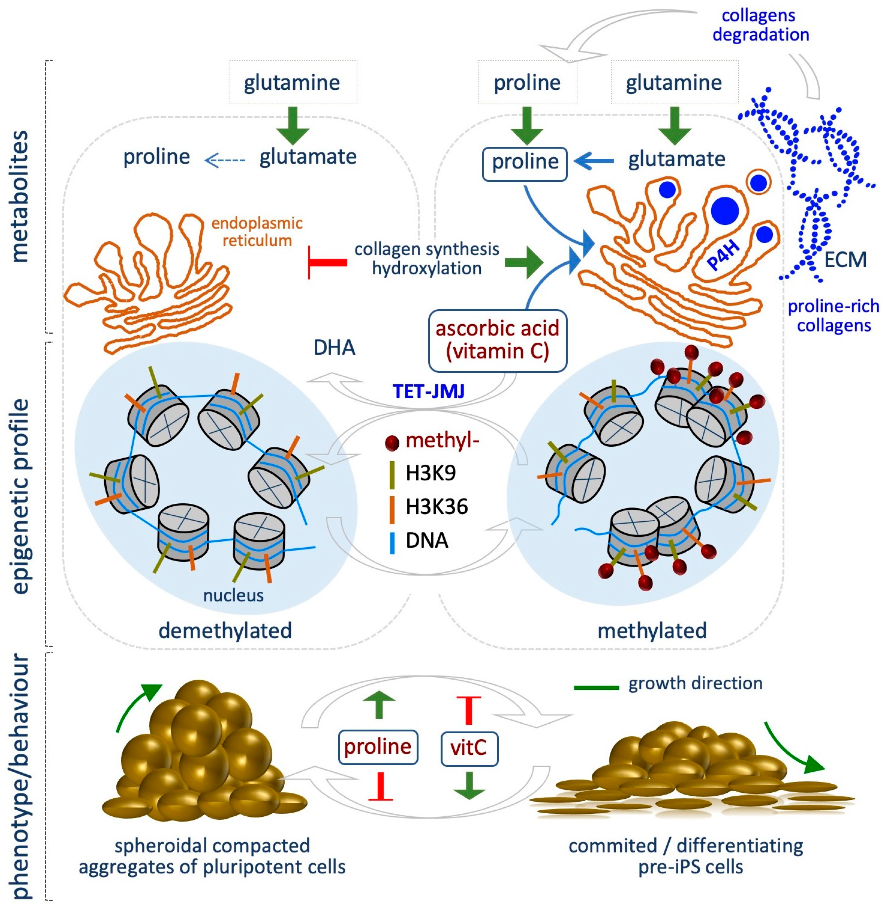 Epigenomes 03 00013 g003