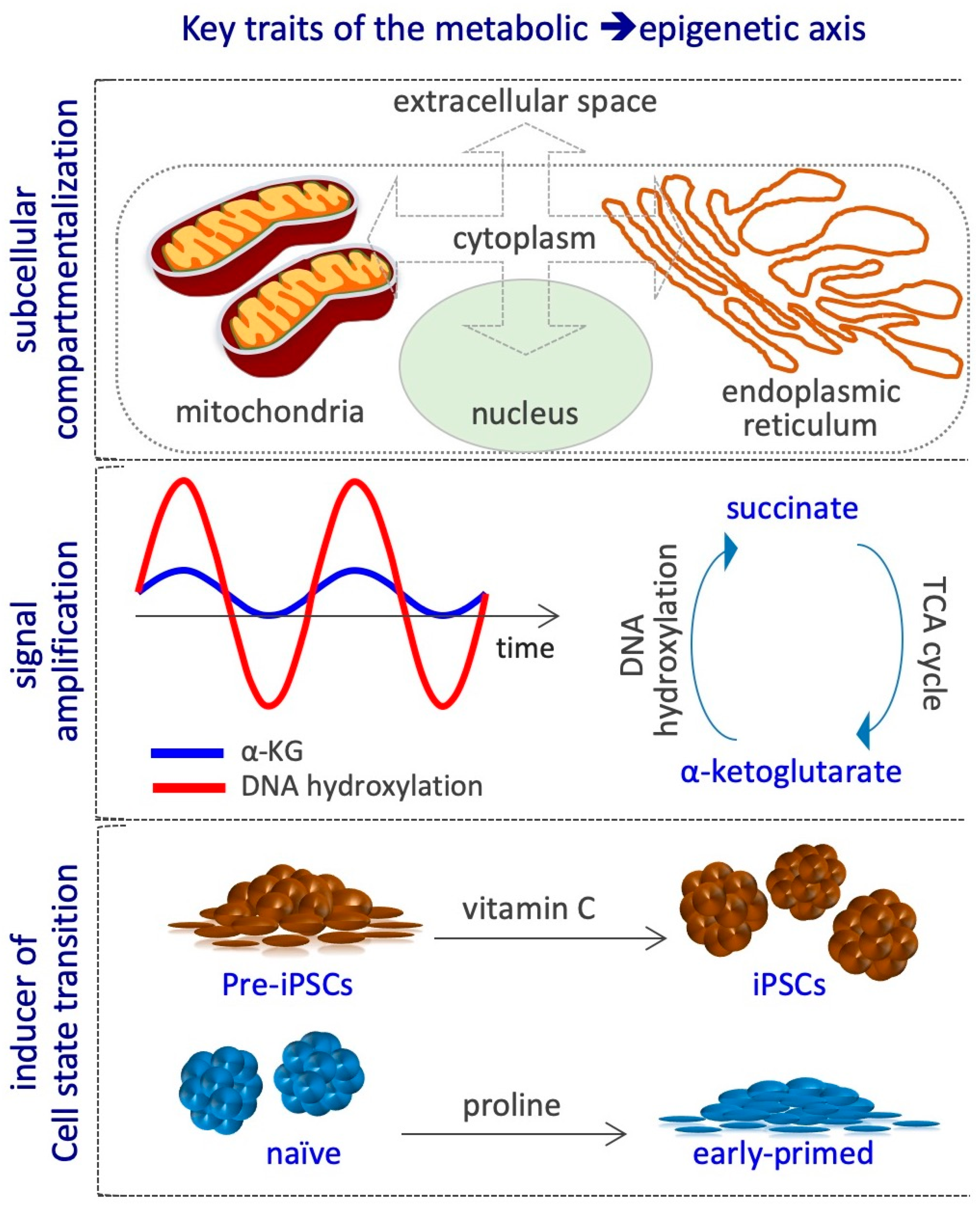 Epigenomes 03 00013 g005